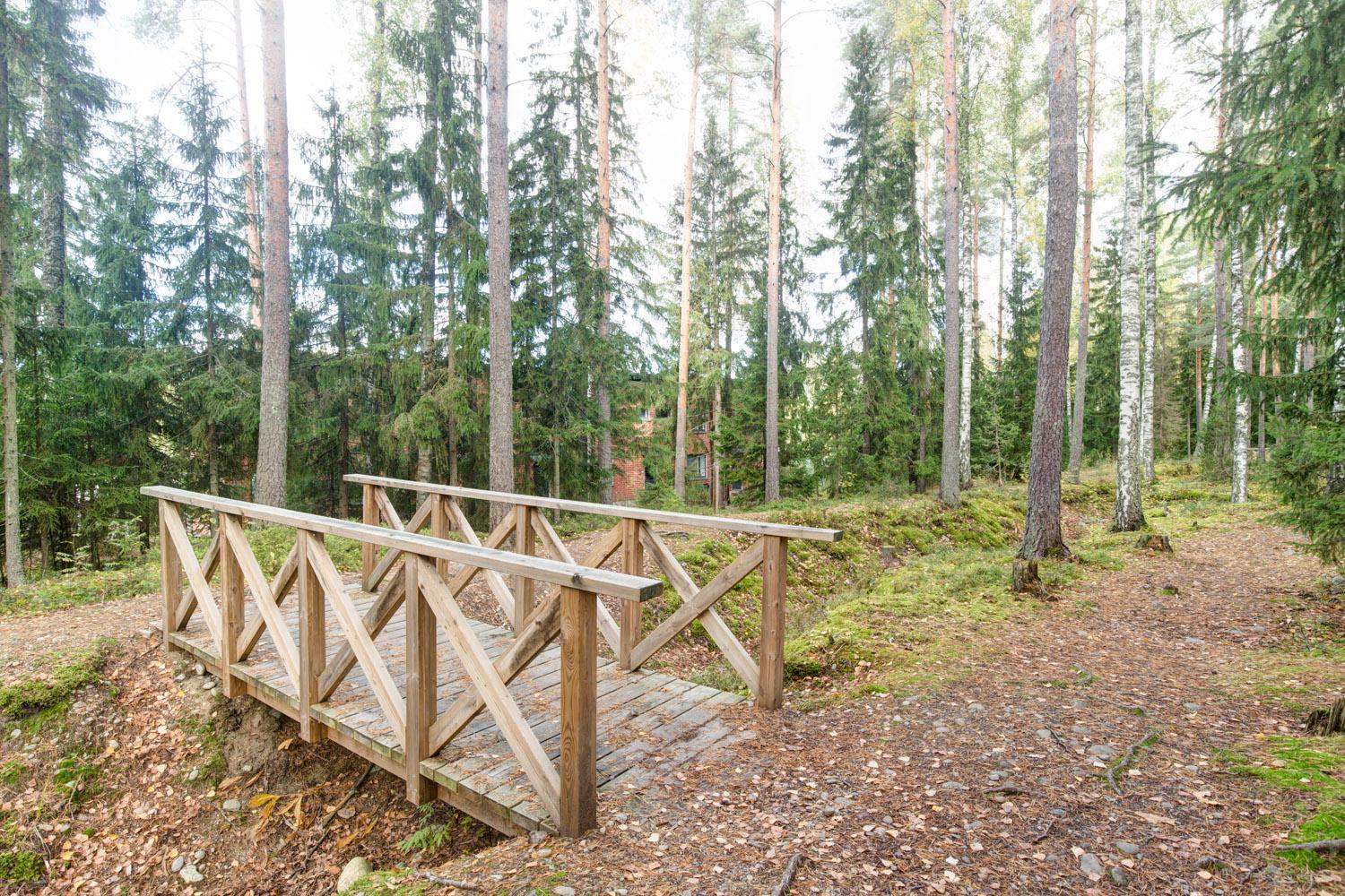 1. maailmansodan aikaisia juoksuhautoja "takapihalla"