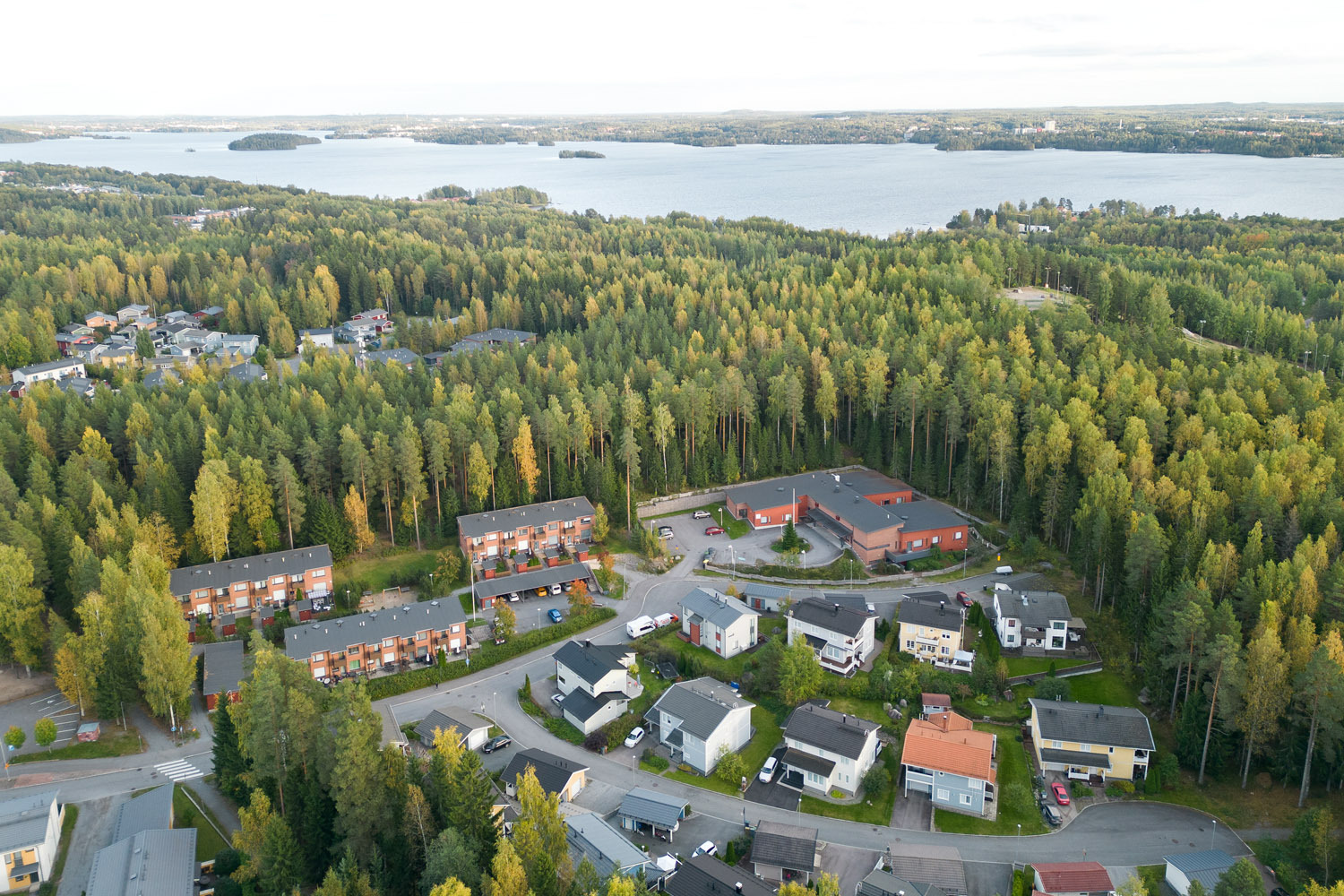 Puistoon rajoittuva asuinalue