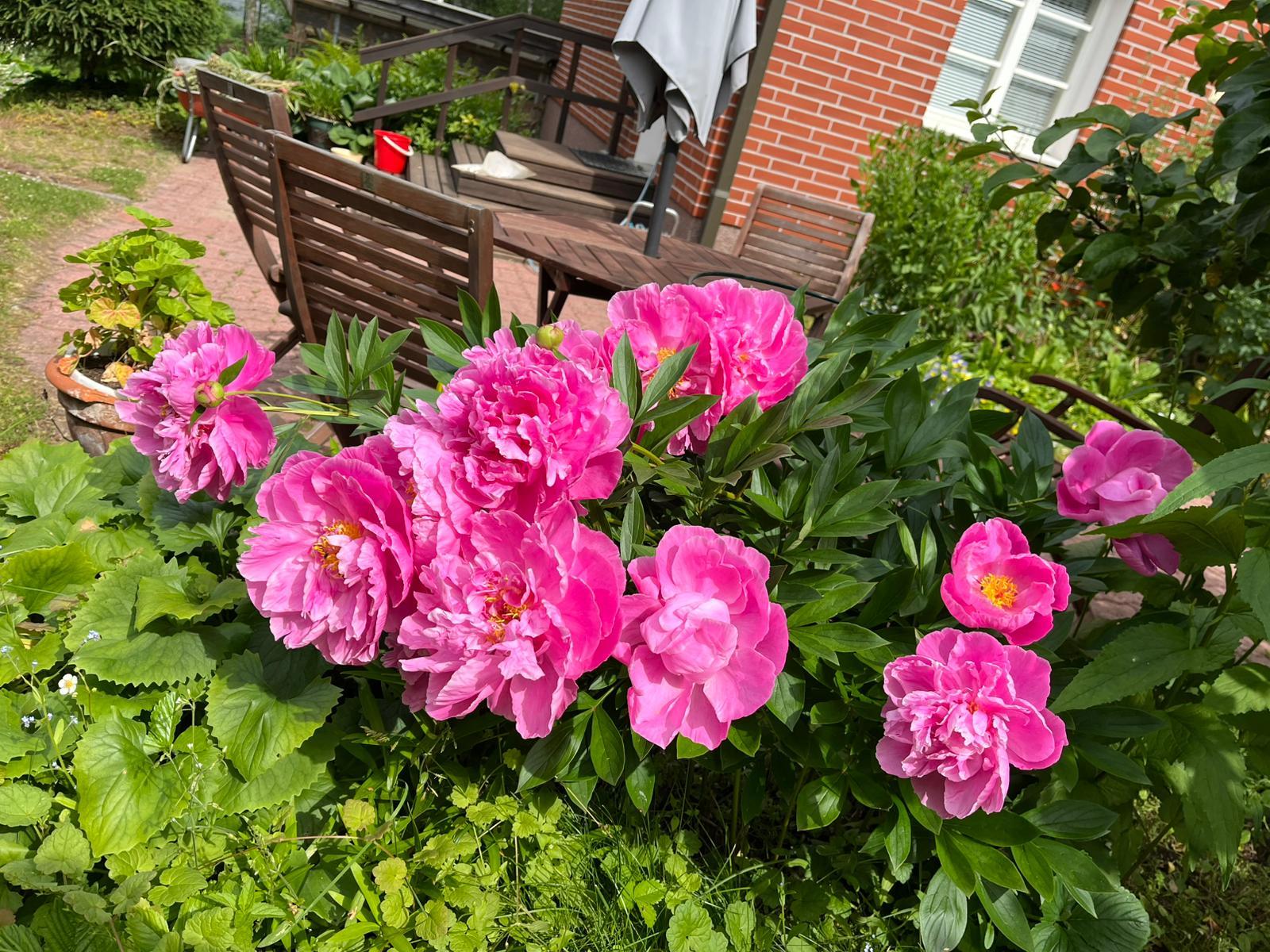 Kuivastontie 329, Perniö, Salo