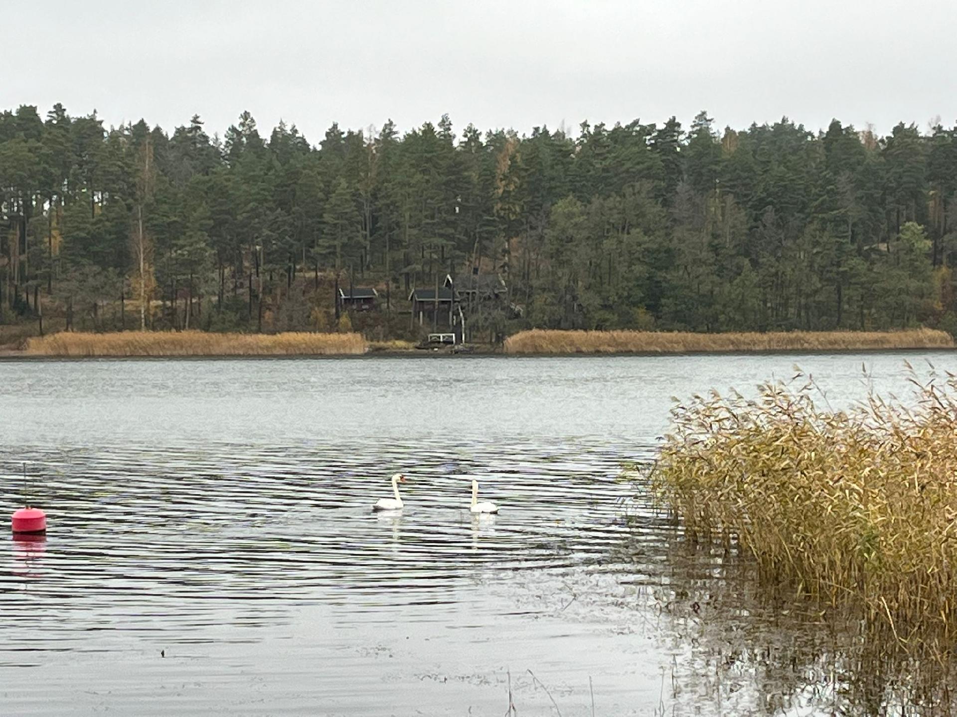 Kuivastontie 329, Perniö, Salo