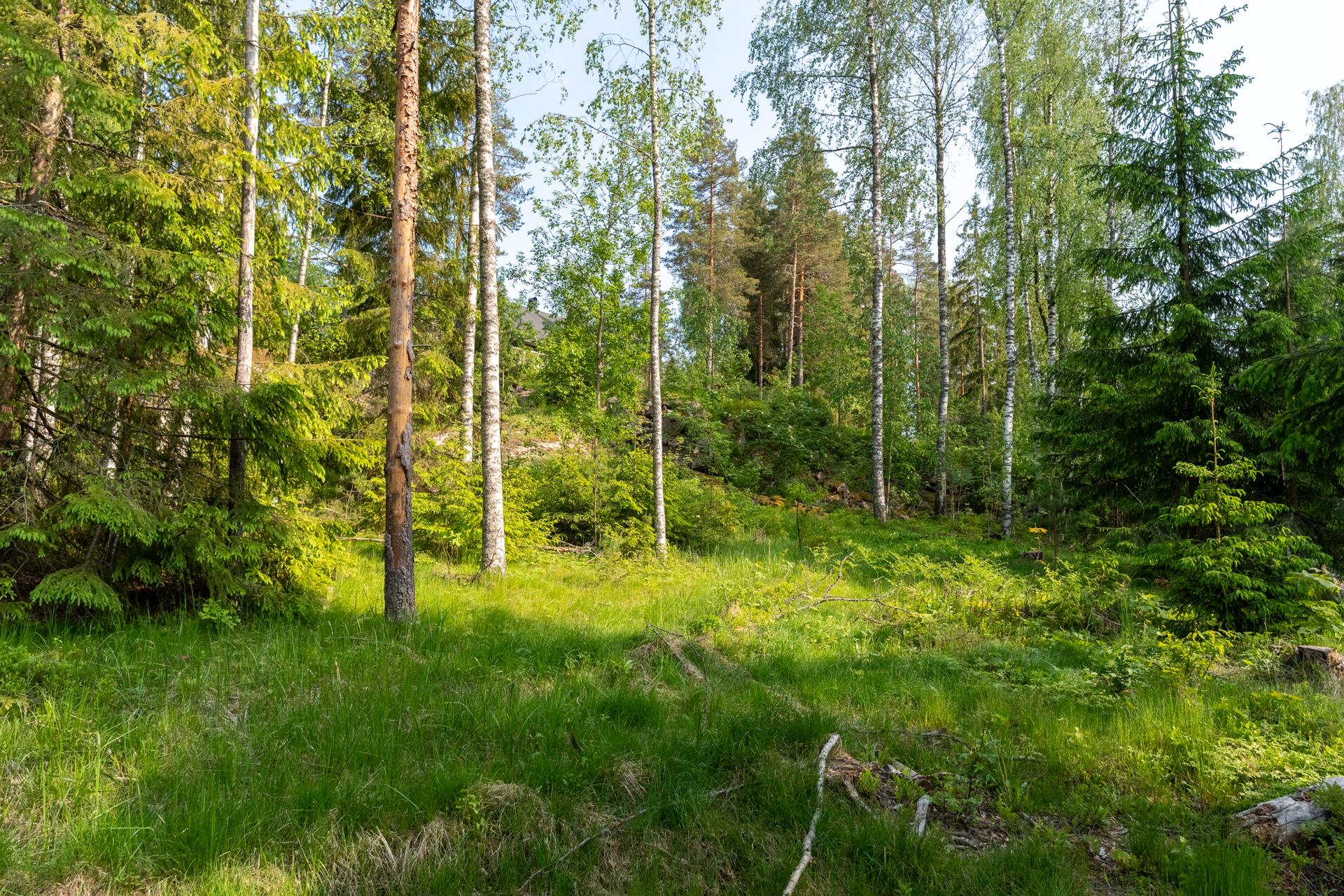 Lepsämänjoentie 13, Lahnus, Espoo