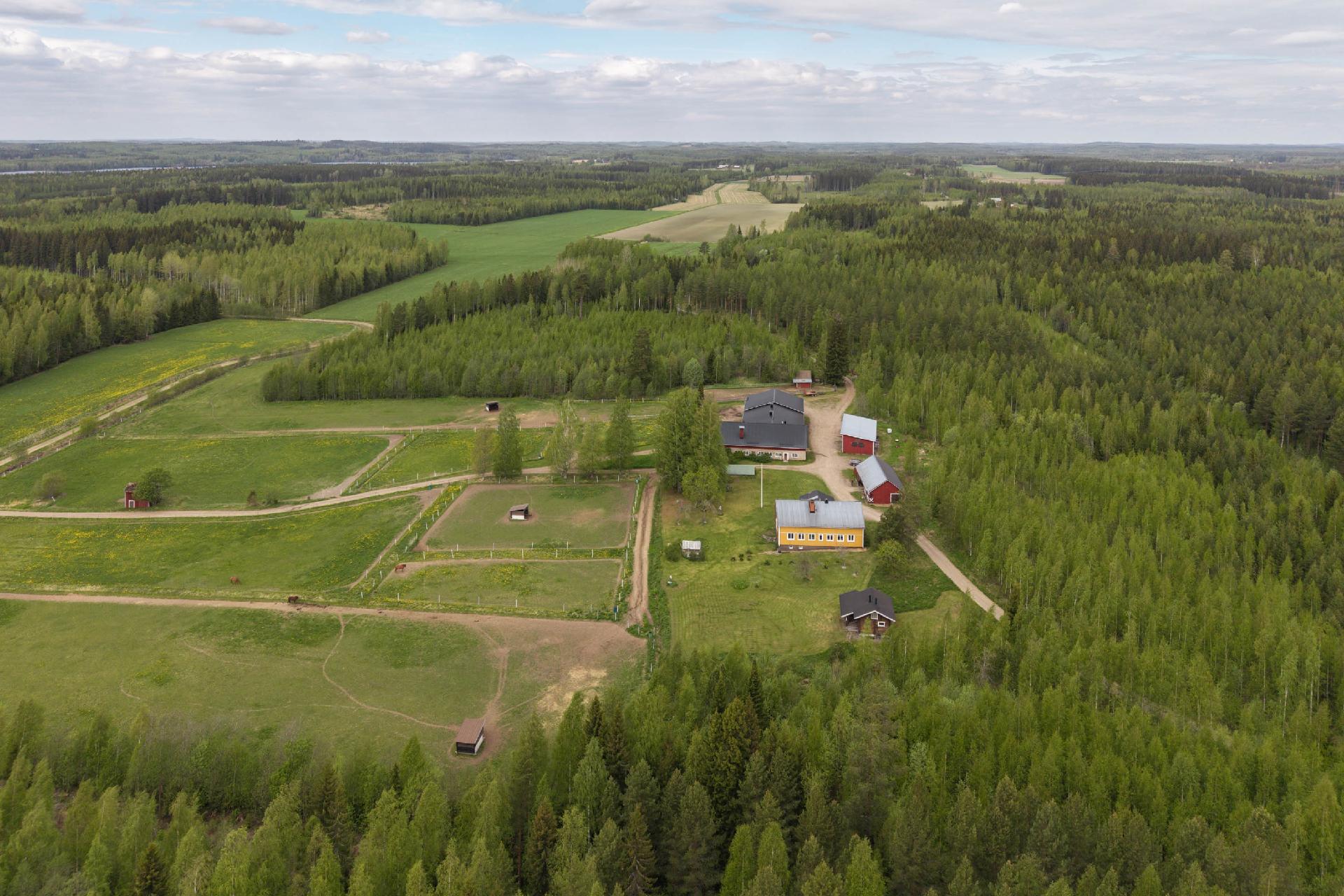 Männistöntie 80, Maavesi, Joroinen