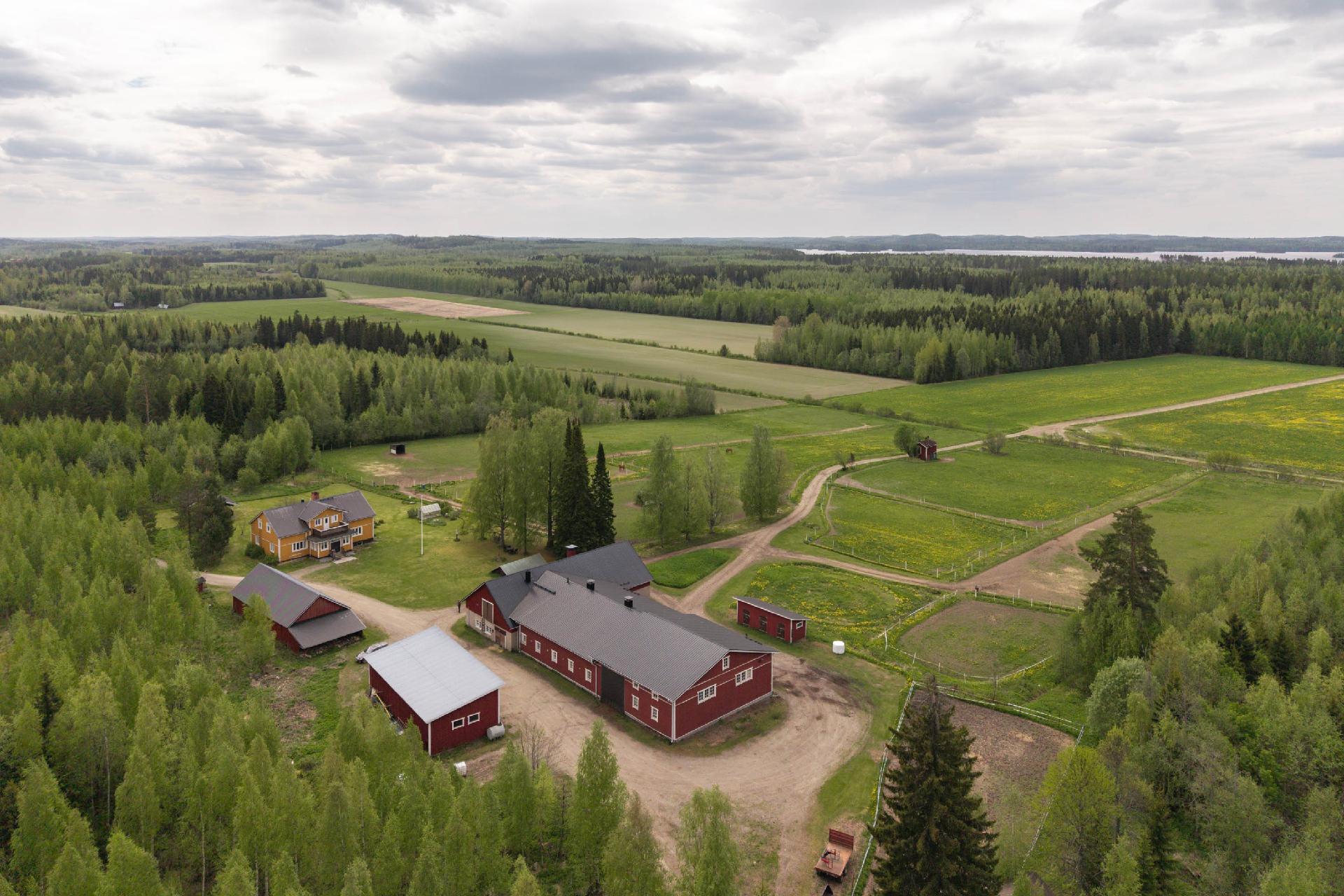 Männistöntie 80, Maavesi, Joroinen