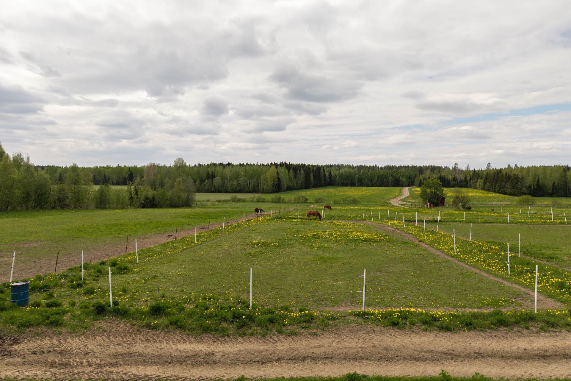 Männistöntie 80, Maavesi, Joroinen