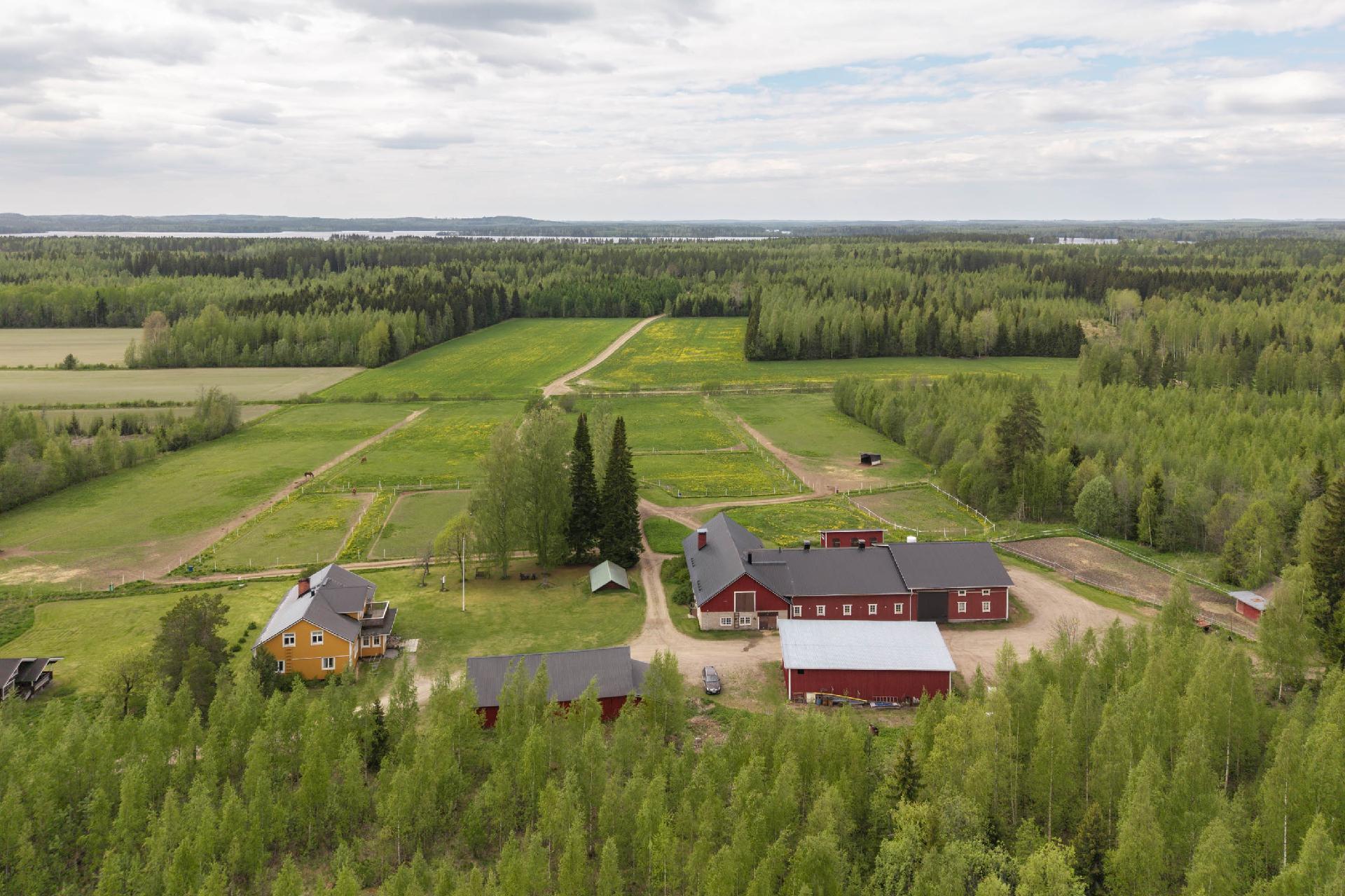 Männistöntie 80, Maavesi, Joroinen