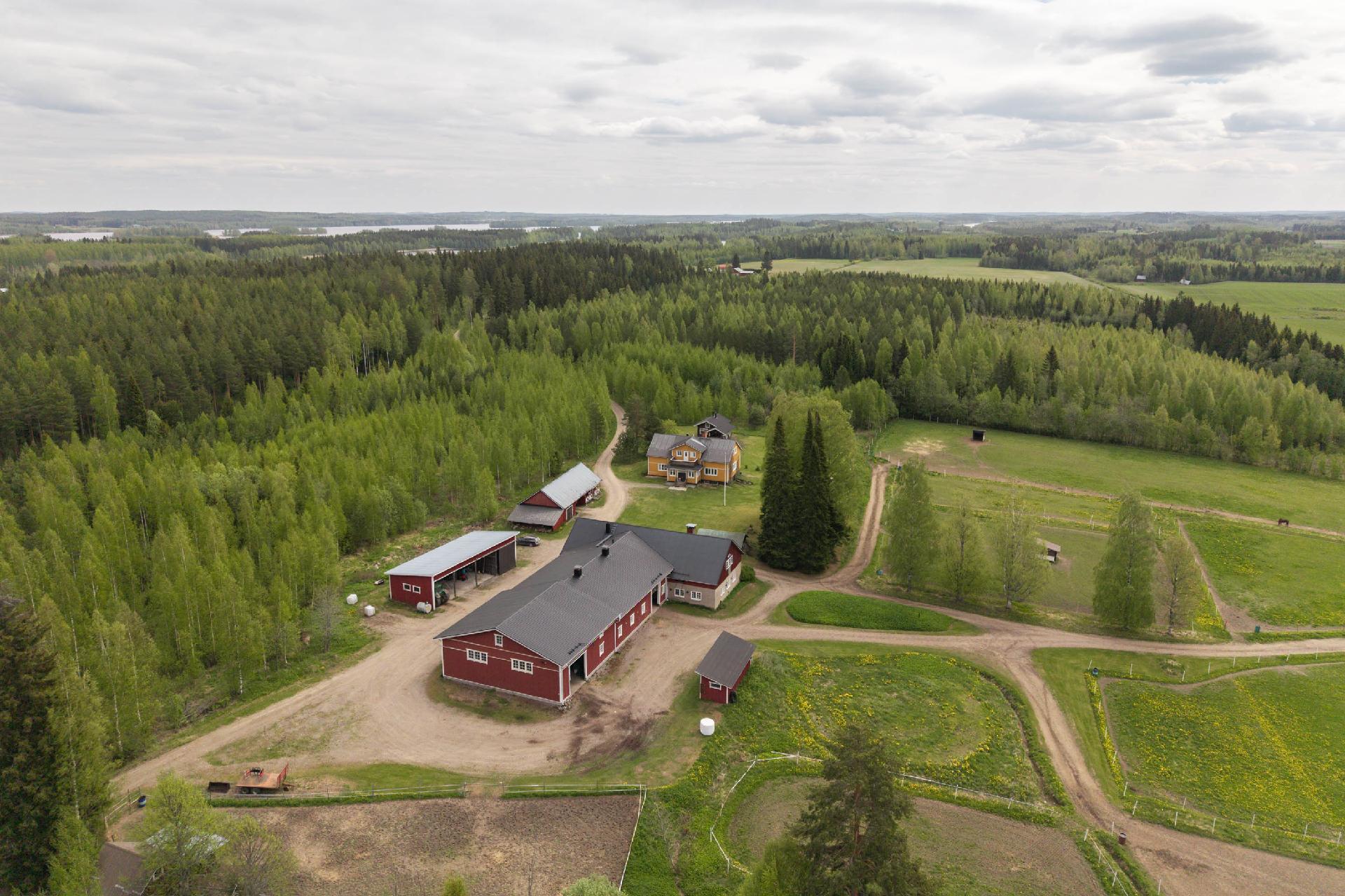 Männistöntie 80, Maavesi, Joroinen