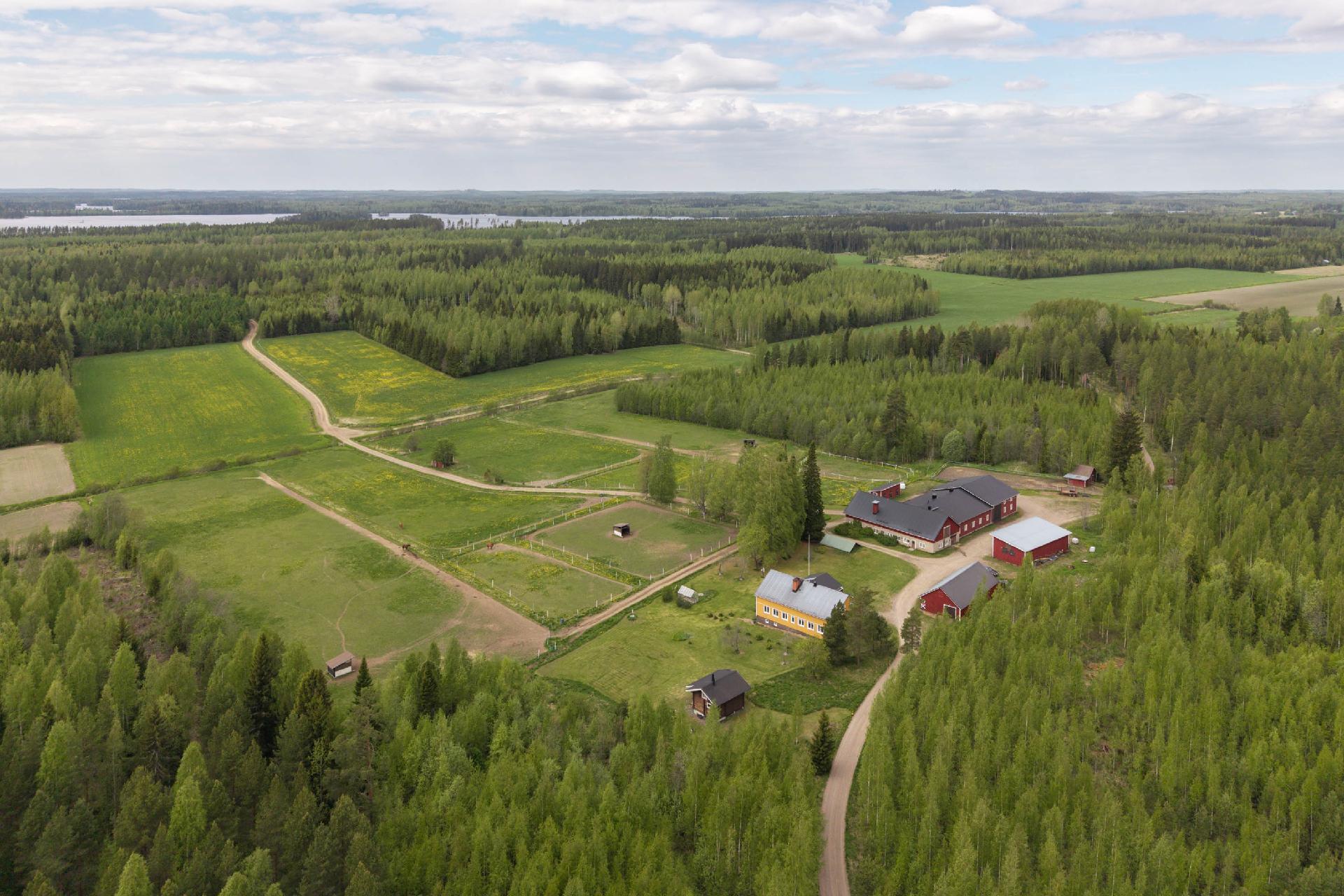 Männistöntie 80, Maavesi, Joroinen