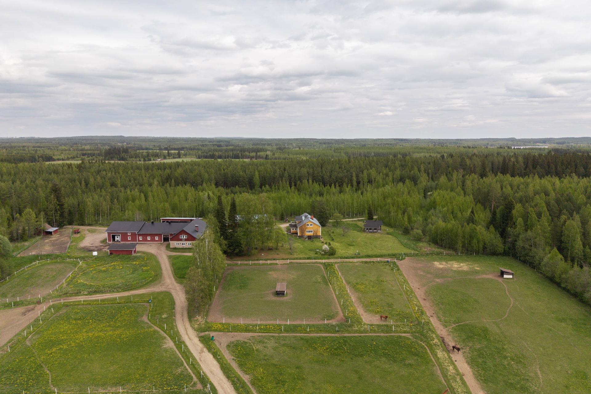 Männistöntie 80, Maavesi, Joroinen