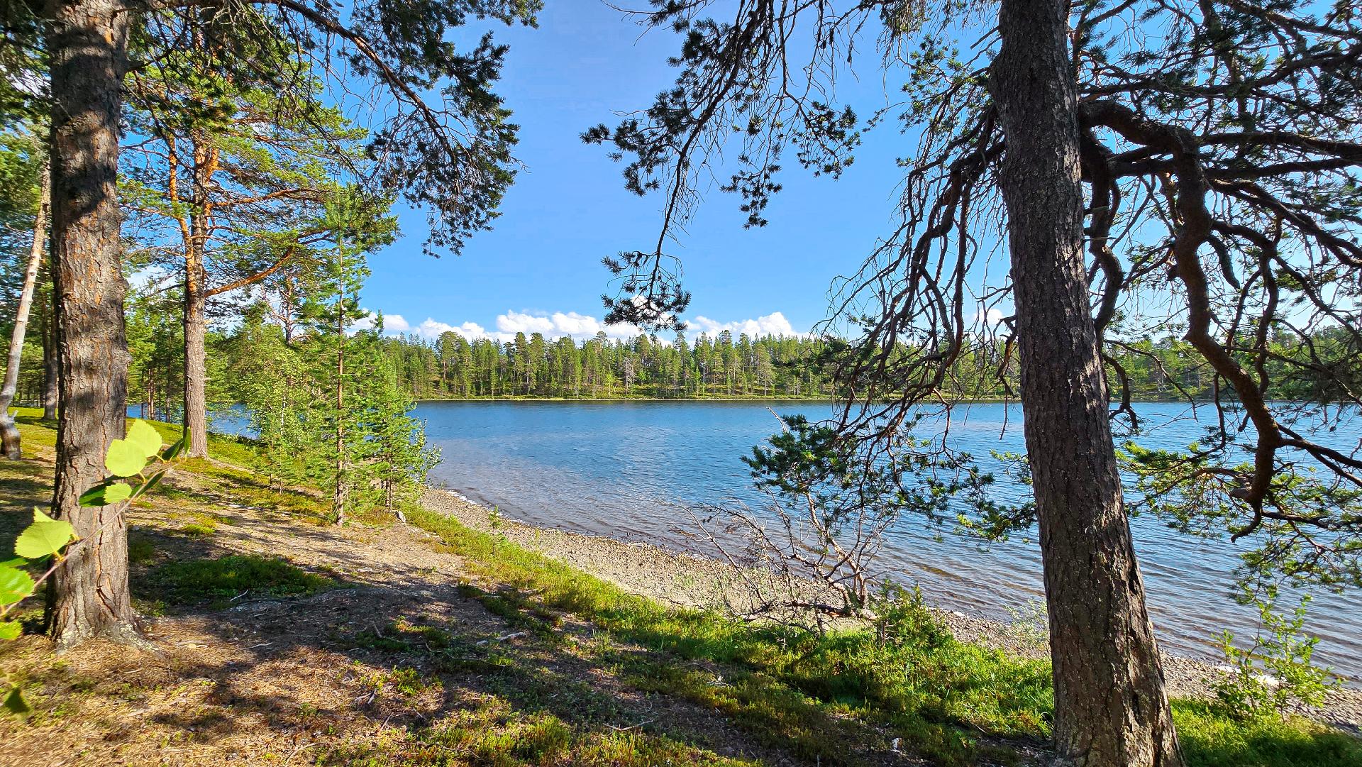 Hiekkapohjaista rantaa