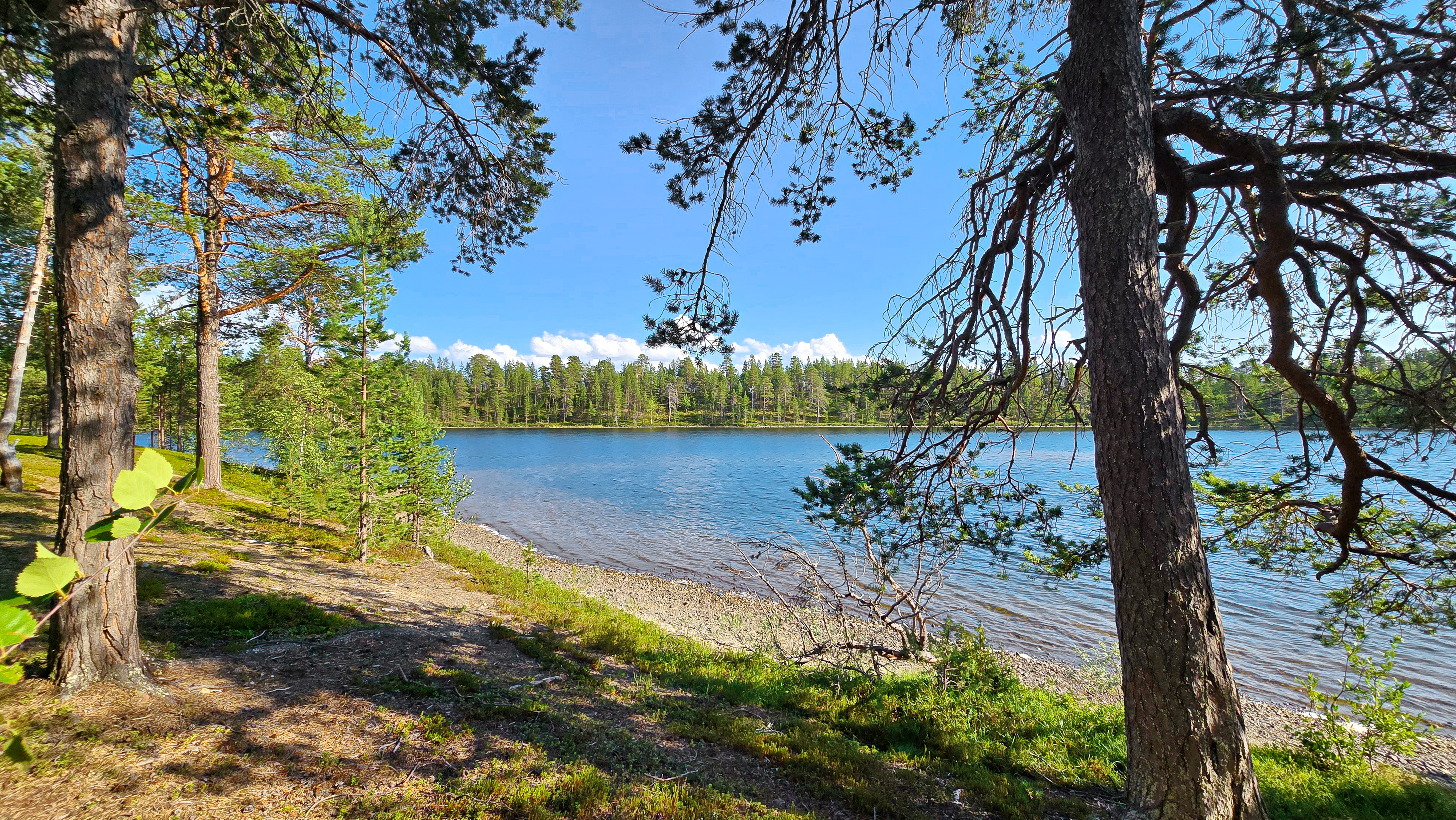Hiekkapohjaista rantaa