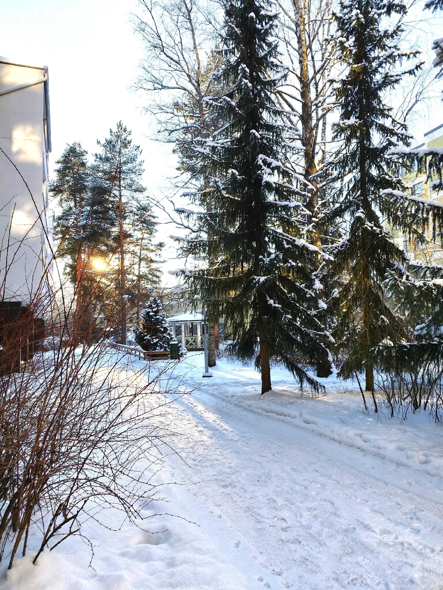 Päättyvän tien päässä