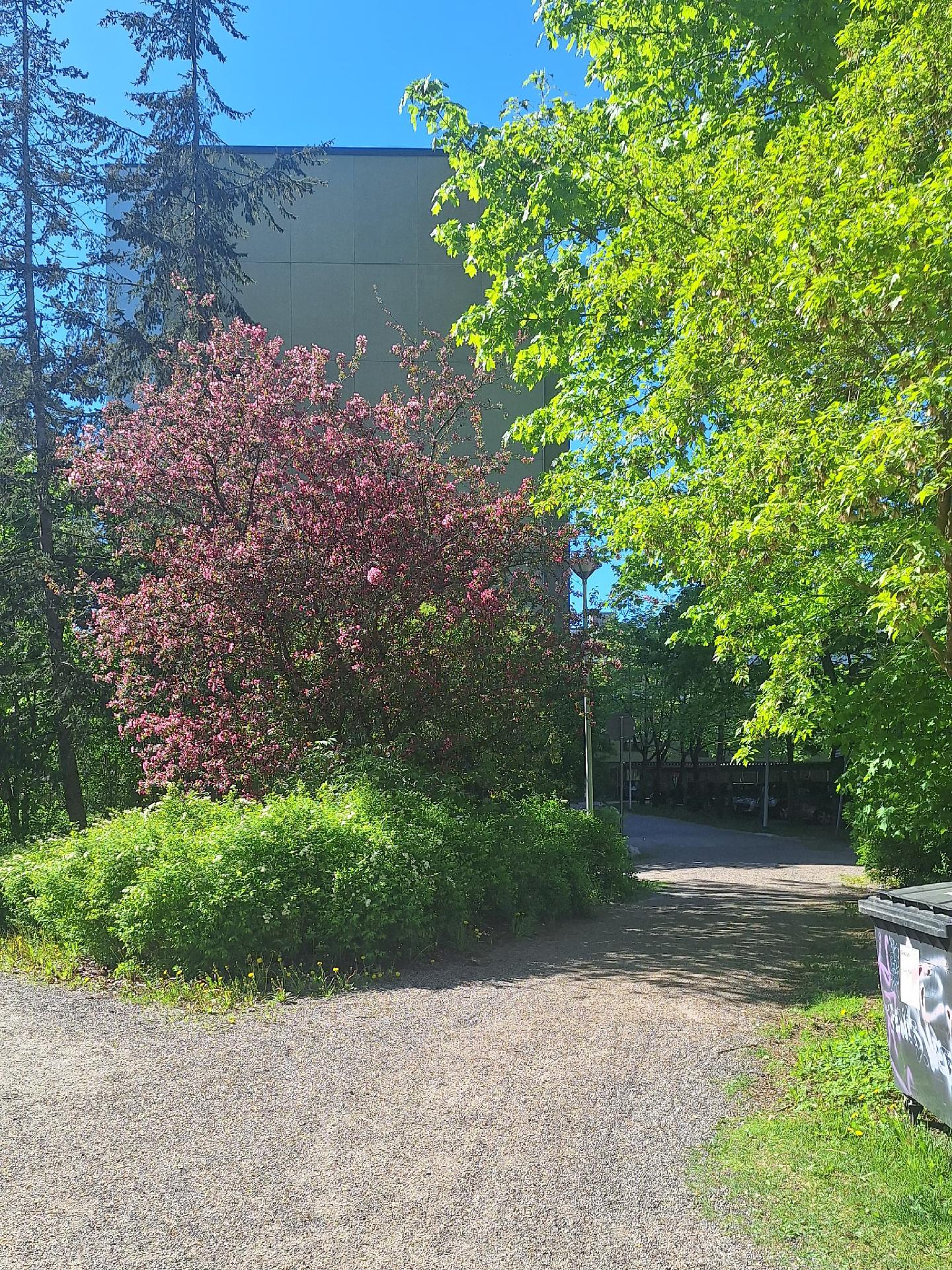 Havukallionkatu 10, Havukoski, Vantaa