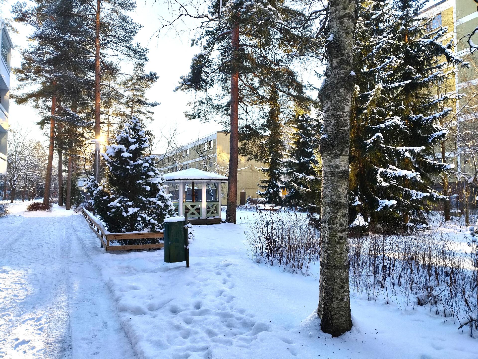 Viihtyisä piha-alue