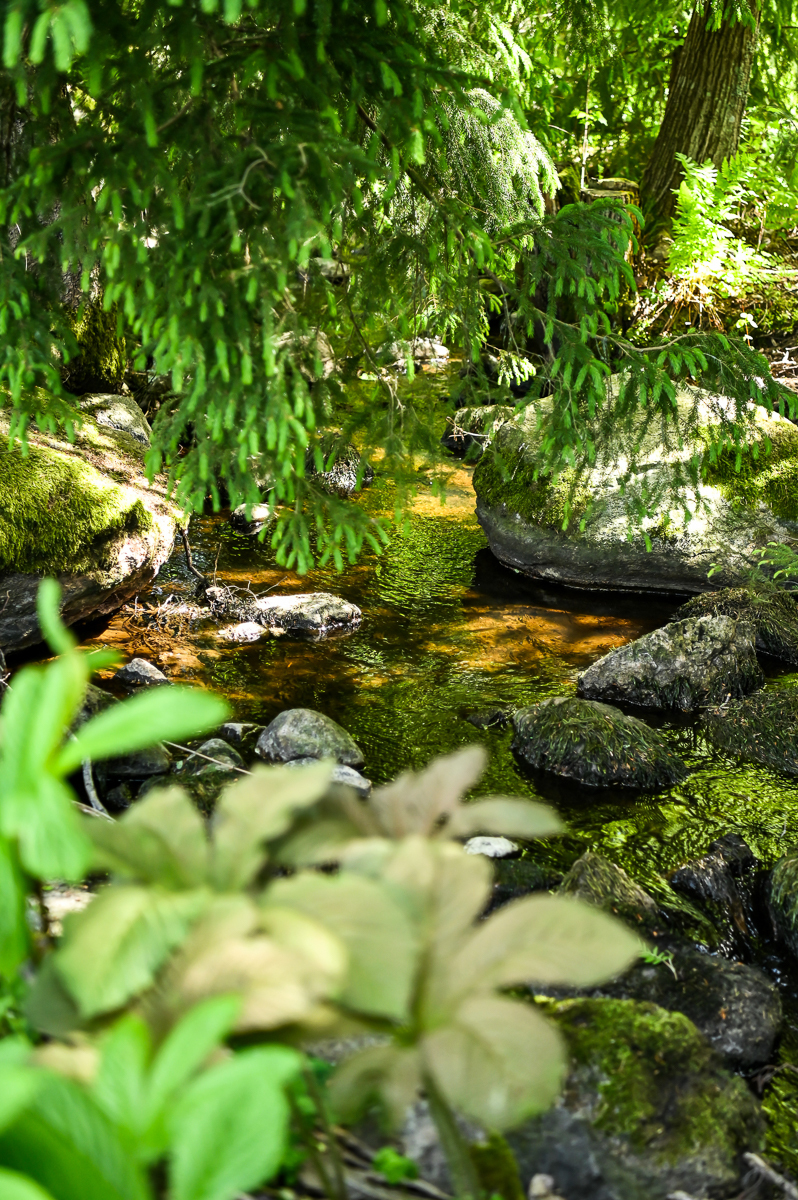 Brunkomin rantatie 156, Åminnefors, Raasepori