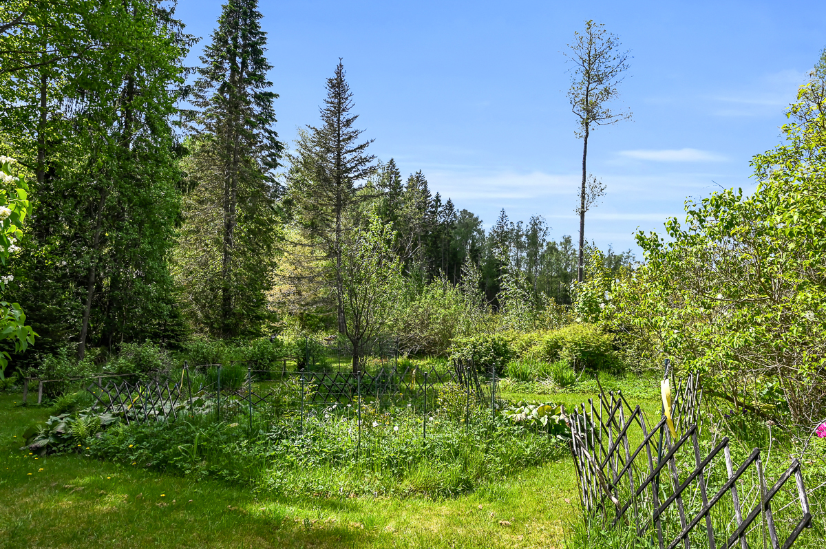 Brunkomin rantatie 156, Åminnefors, Raasepori
