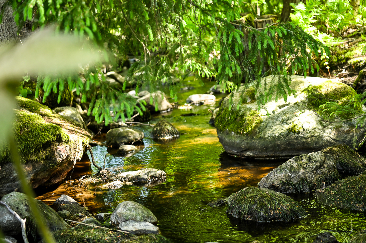 Brunkomin rantatie 156, Åminnefors, Raasepori