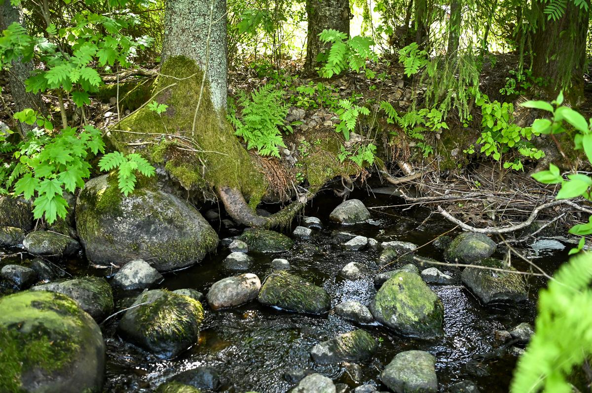 Brunkomin rantatie 156, Åminnefors, Raasepori