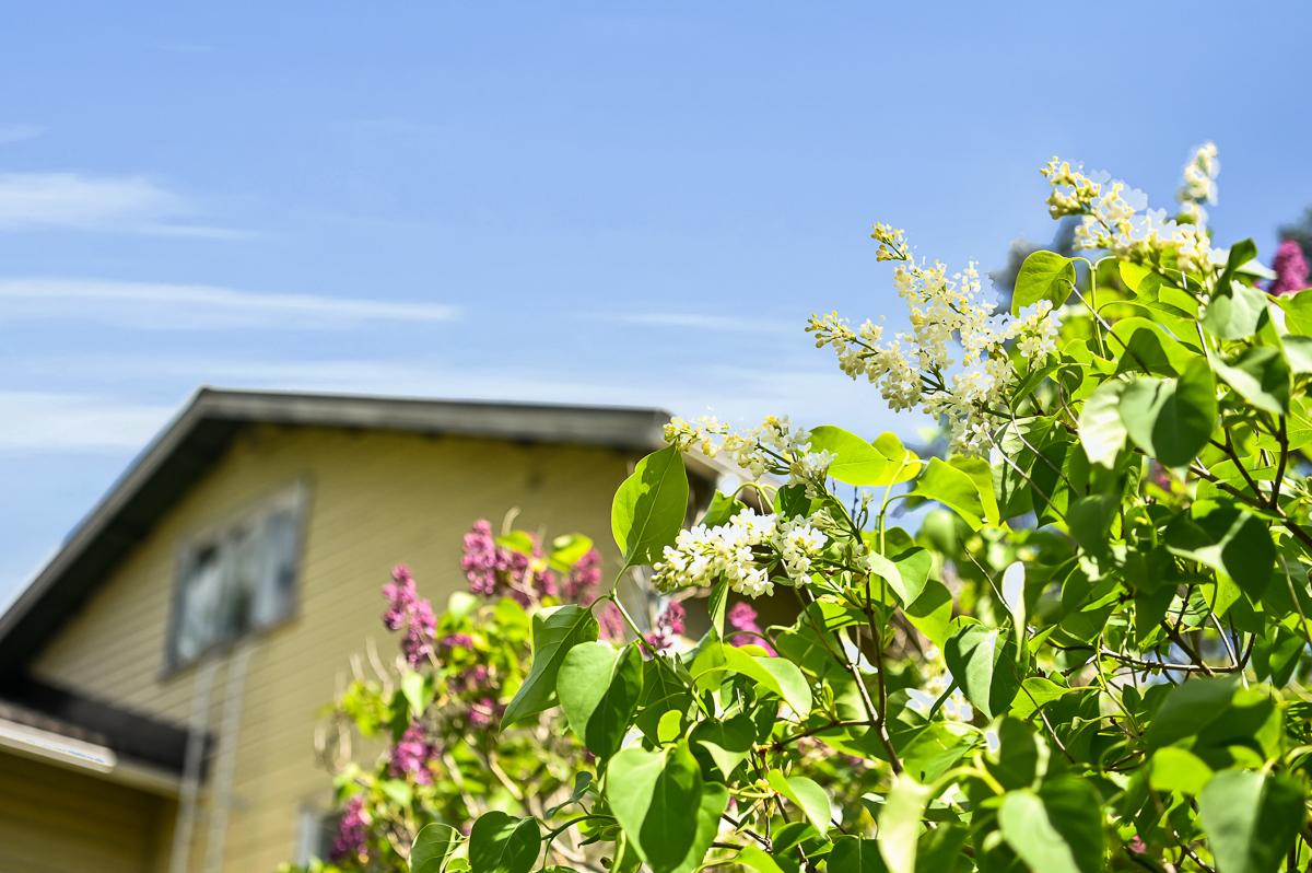 Brunkomin rantatie 156, Åminnefors, Raasepori