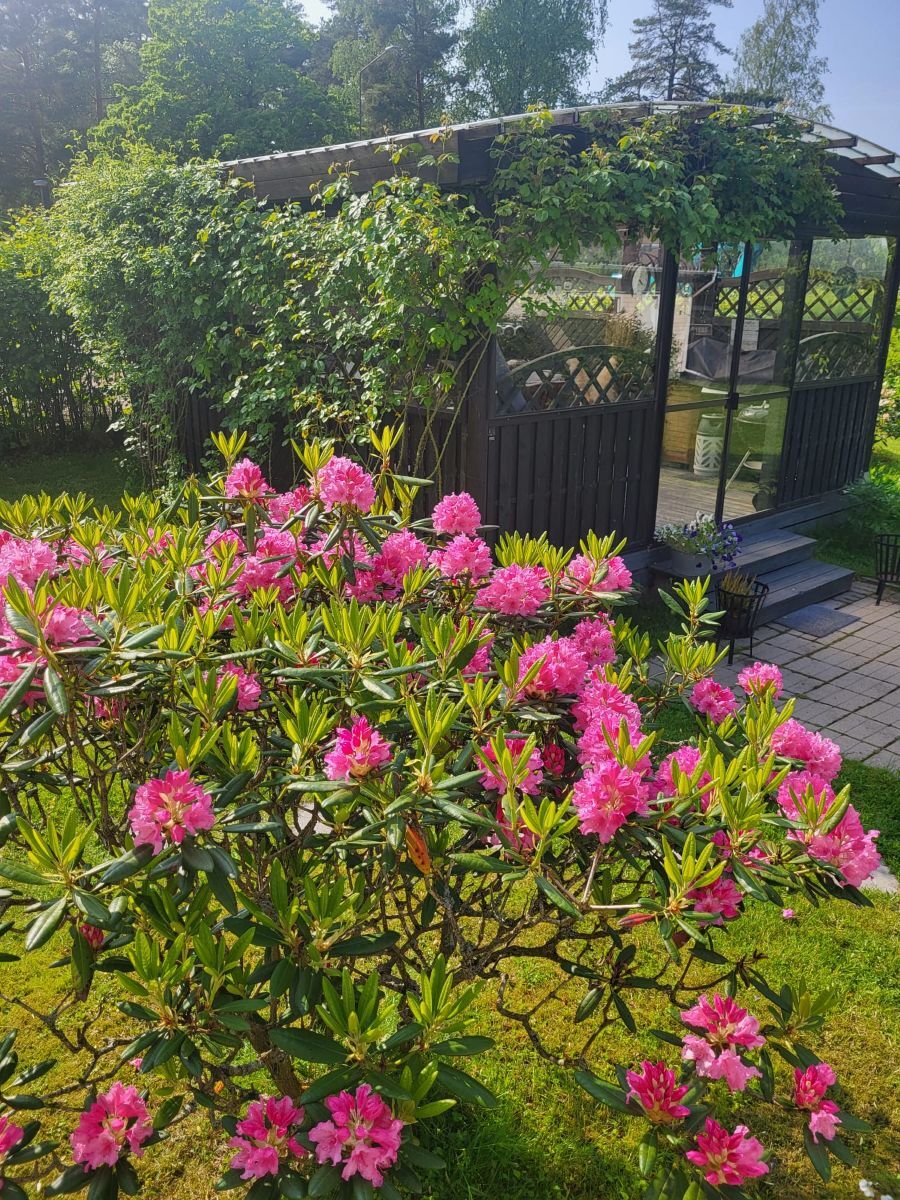 Asiakkaan omat kuvat - Kundens egna bilder