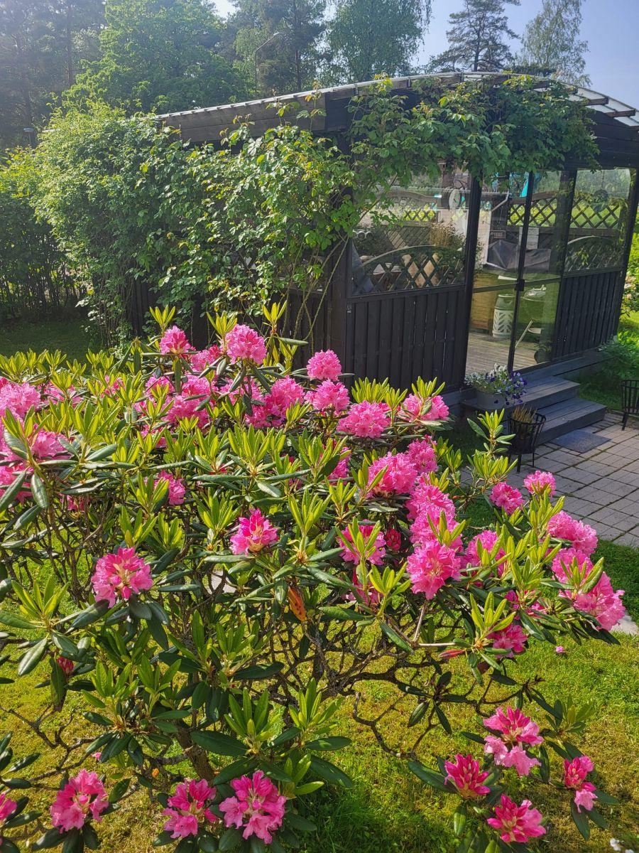 Asiakkaan omat kuvat - Kundens egna bilder