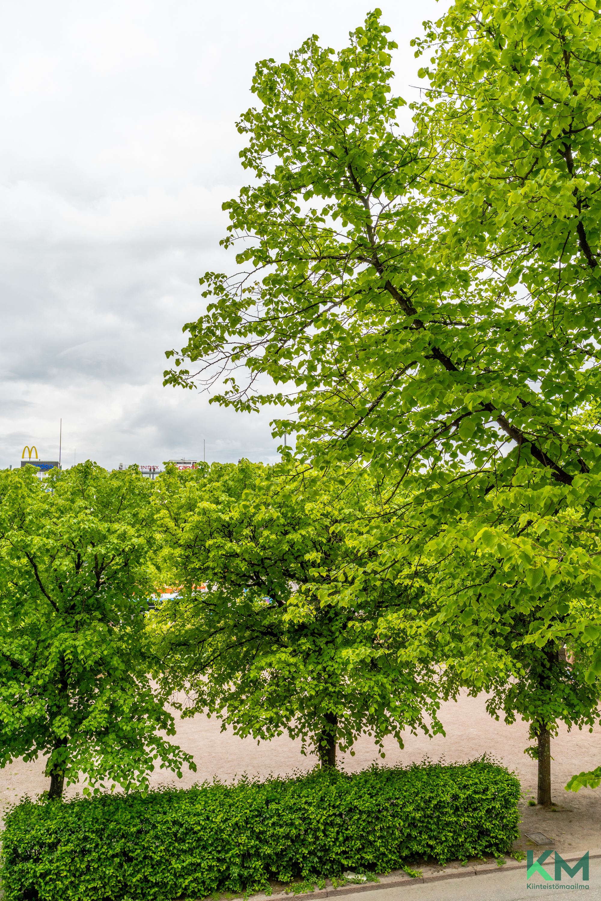 Viherniemenkatu 5, Hakaniemi, Helsinki