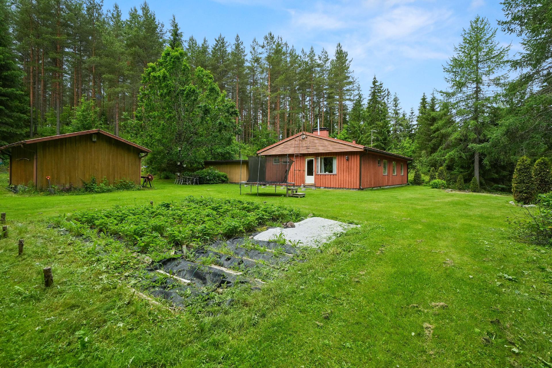 Iso tontti tarjoaa viherpeukalolle paljon mahdollisuuksia