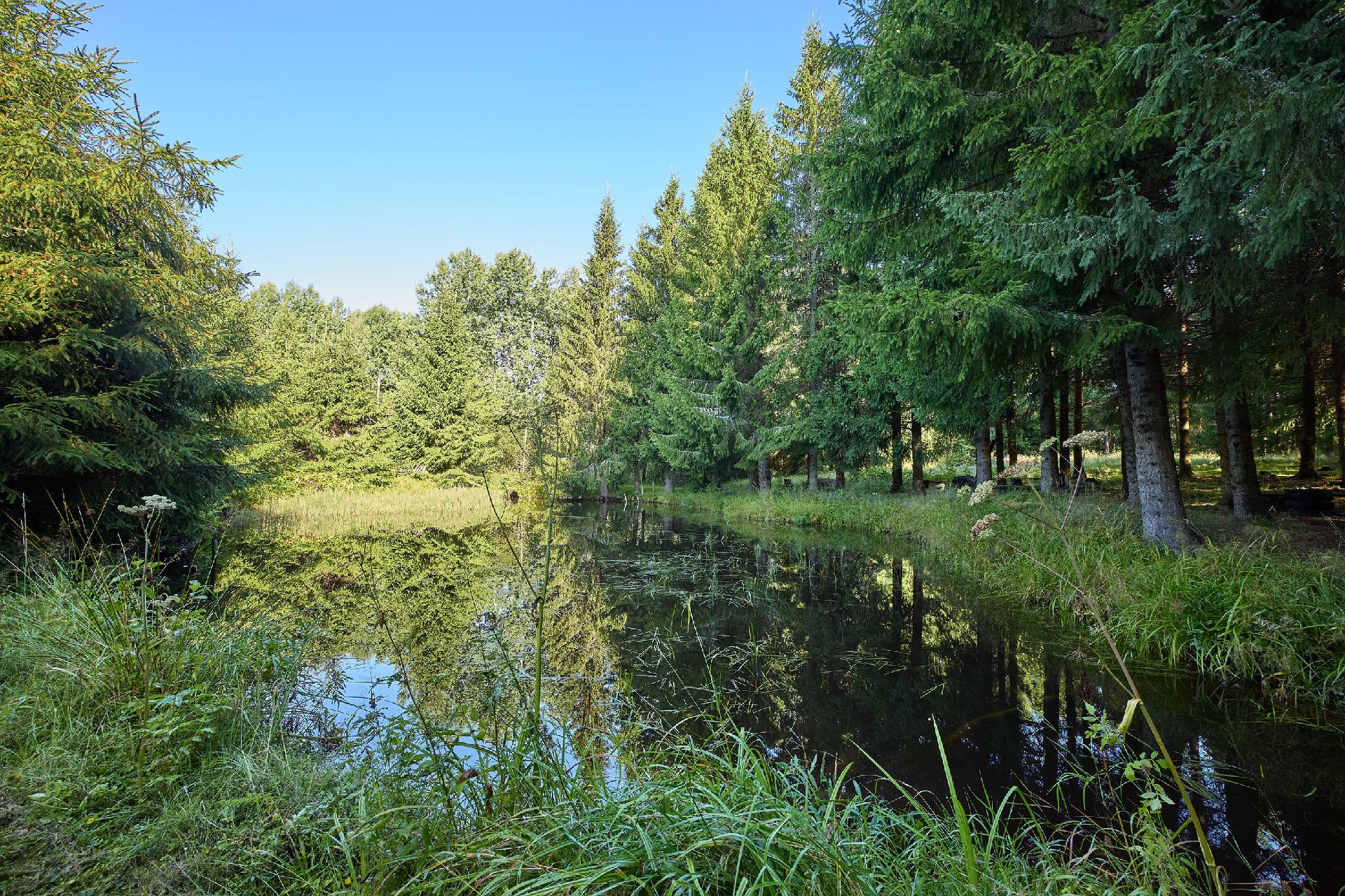 Isoniityntie 3, Pusula, Lohja