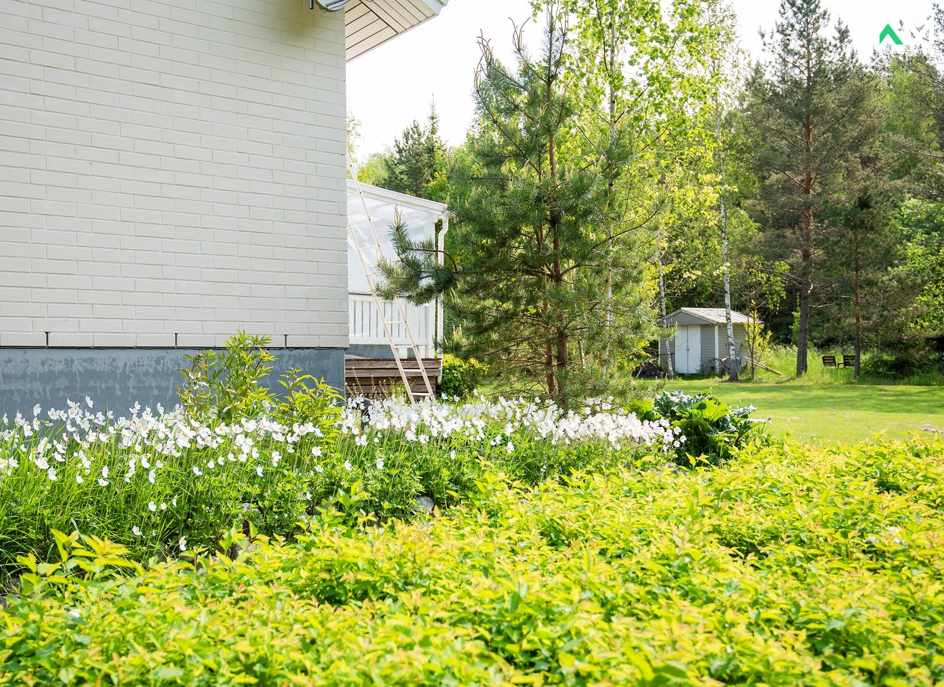 Luolavuorenpolku 13, Luolavuori, Masku