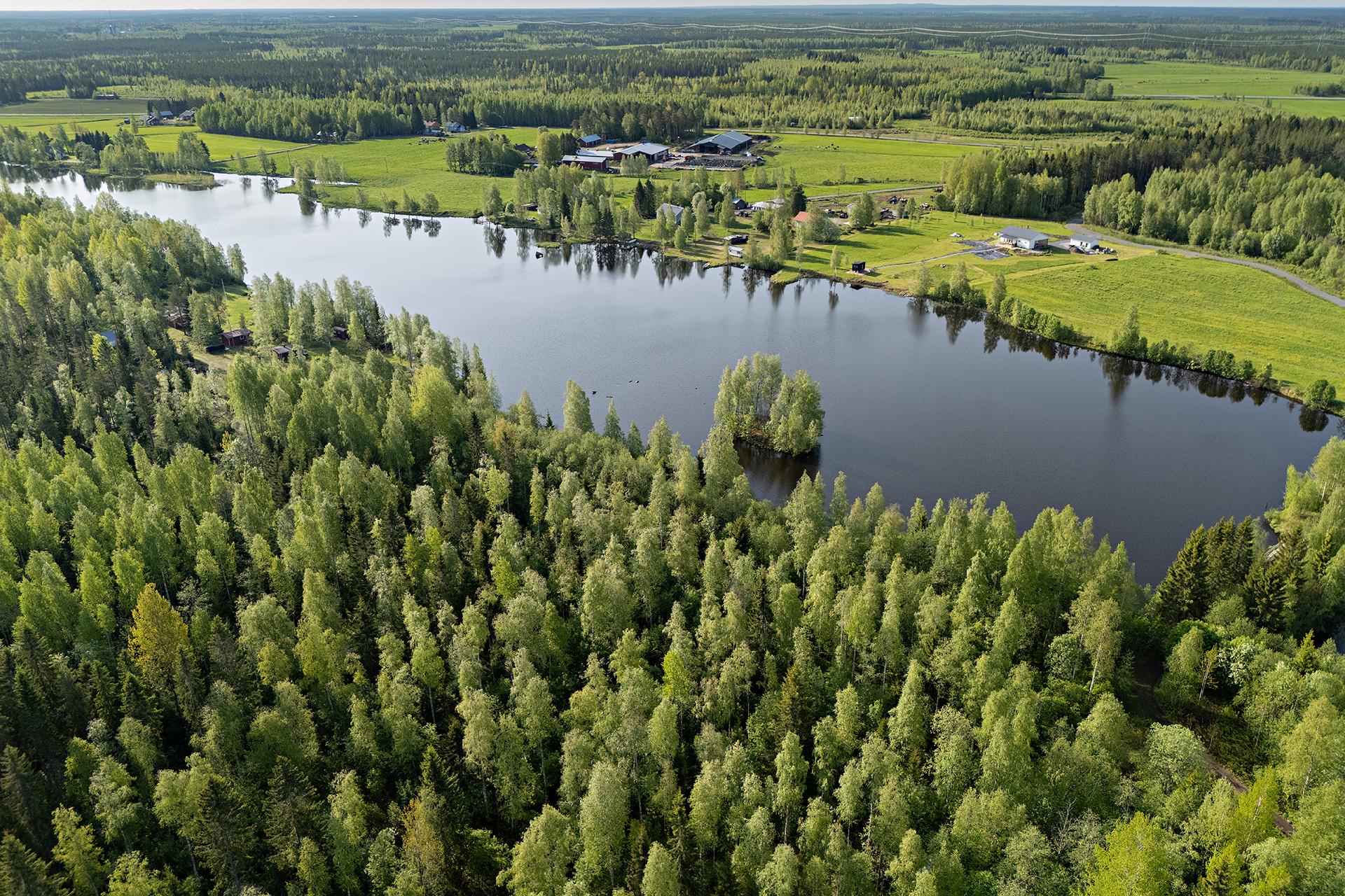 Leppäharjuntie 76, Sotkajärvi, Utajärvi