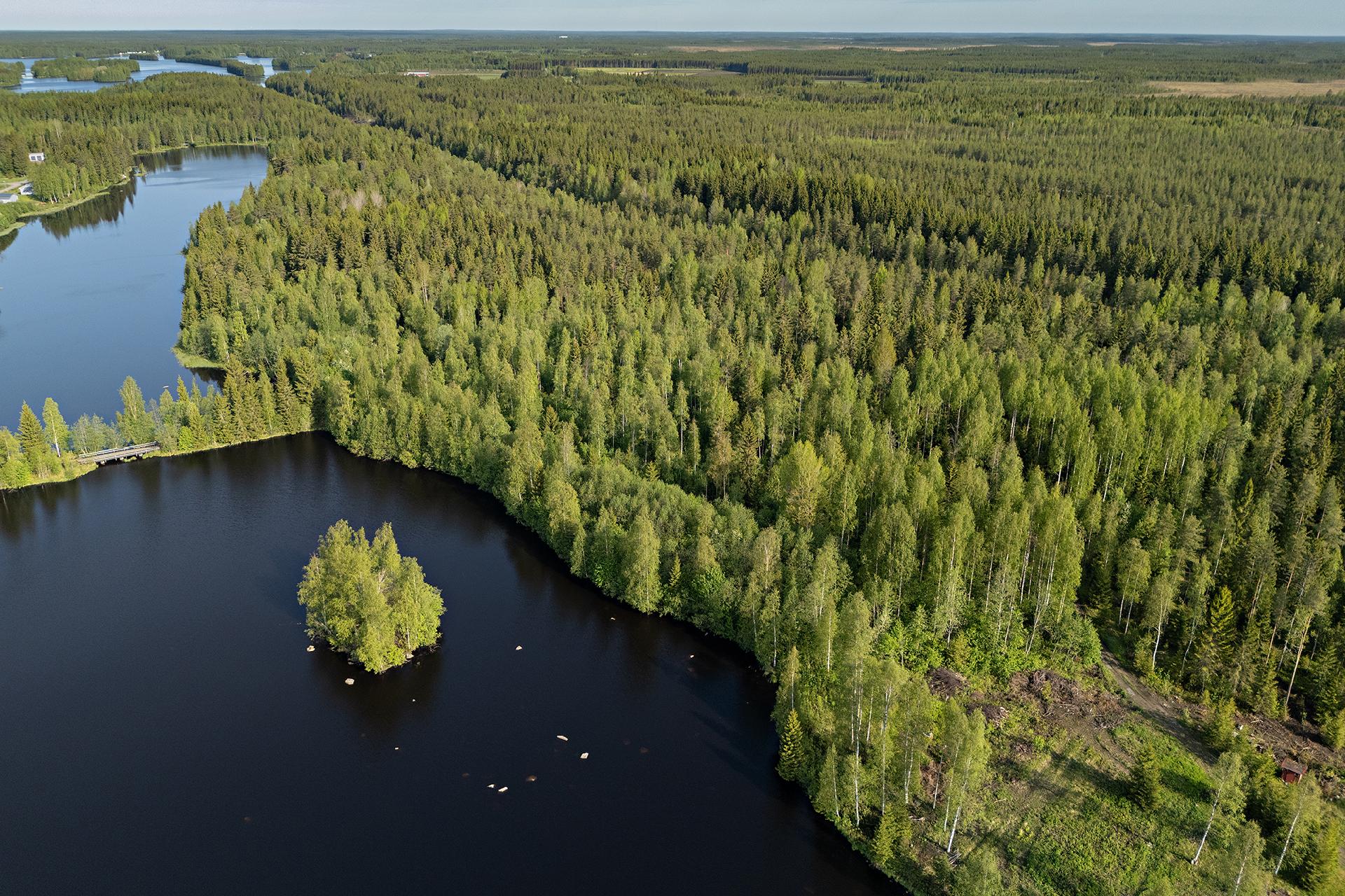 Leppäharjuntie 76, Sotkajärvi, Utajärvi