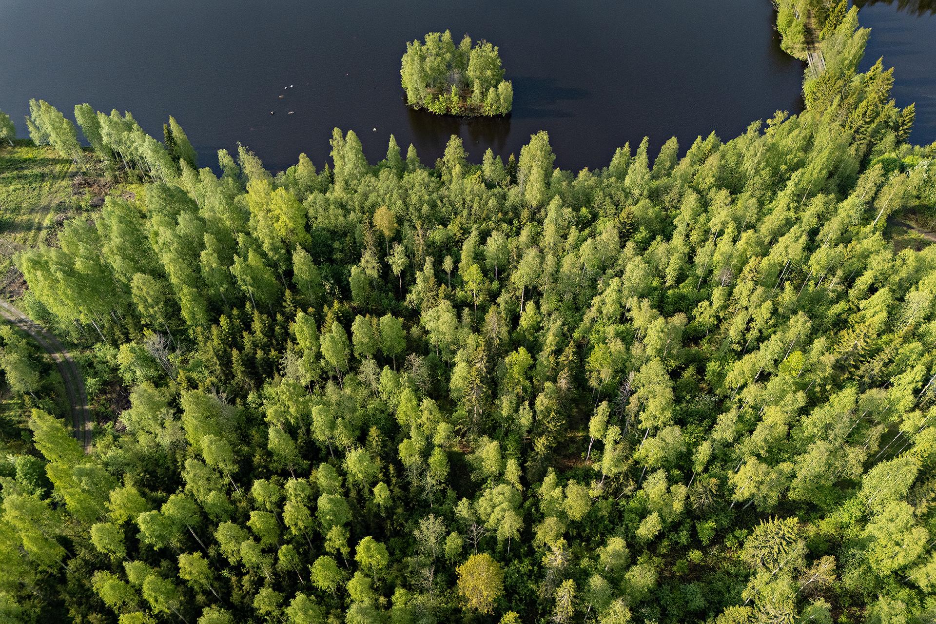 Leppäharjuntie 76, Sotkajärvi, Utajärvi
