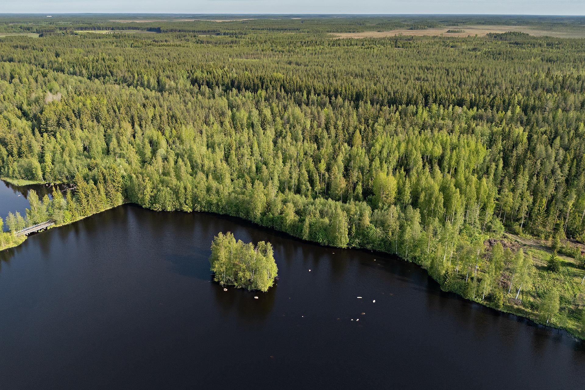 Leppäharjuntie 76, Sotkajärvi, Utajärvi