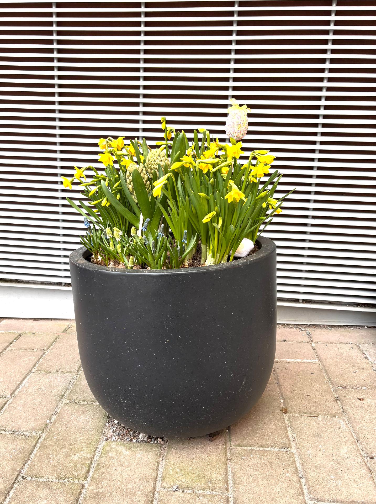 Limonadikuja 3, Konala, Helsinki