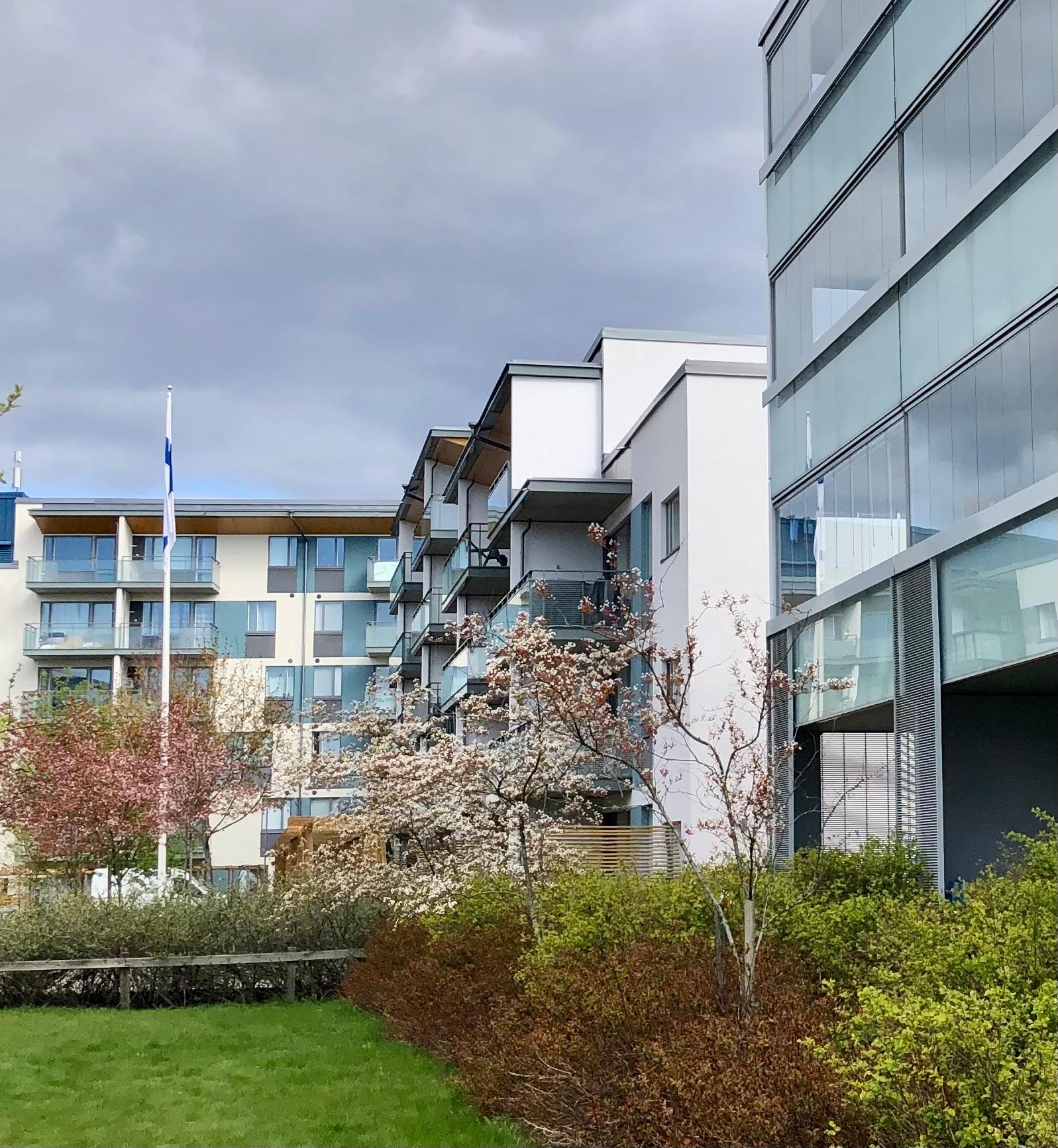 Alkukesän vehreyttä yhtiön pihalla