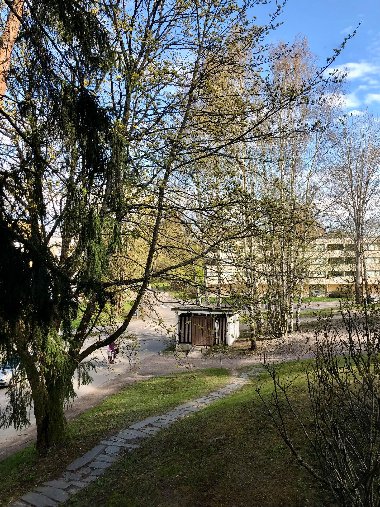 Näkymä keittokomeron ikkunasta