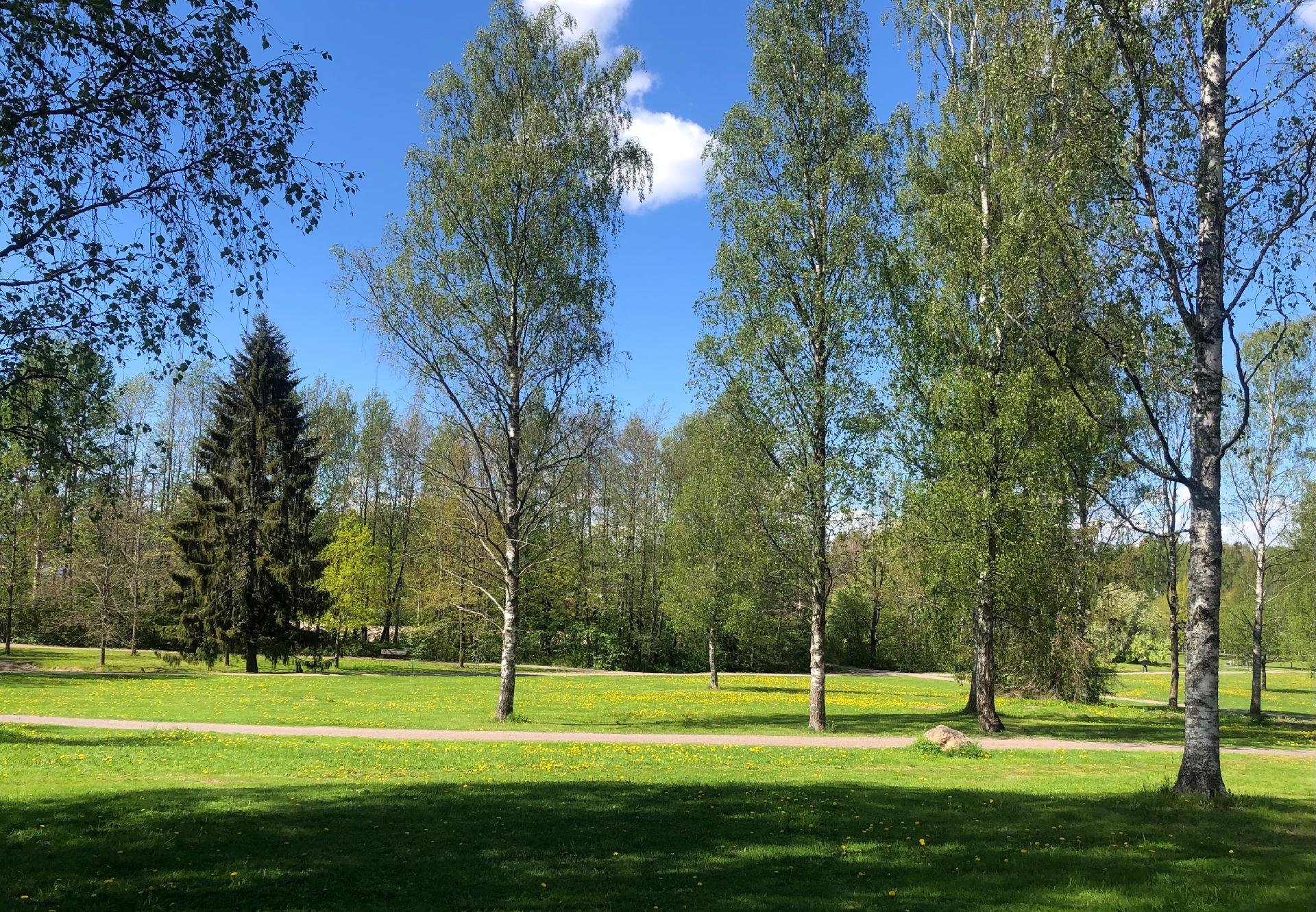 Laaja puistoalue tarjoaa mainiot puitteet ulkoiluun