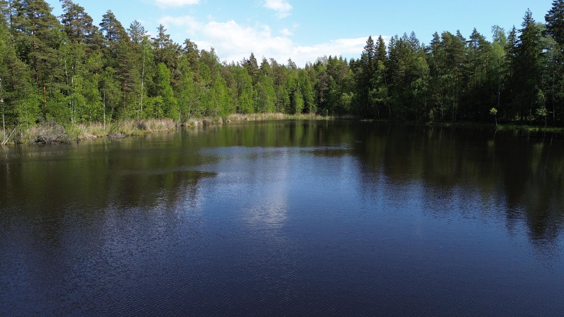 Hasselholmantie 162, Sannainen, Porvoo