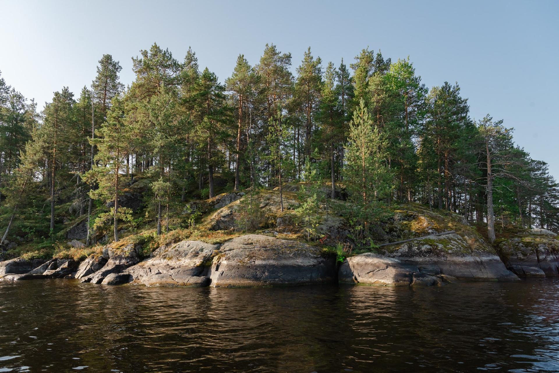 Lehtoniemen Myhkyri 40, Kuopio, Kuopio