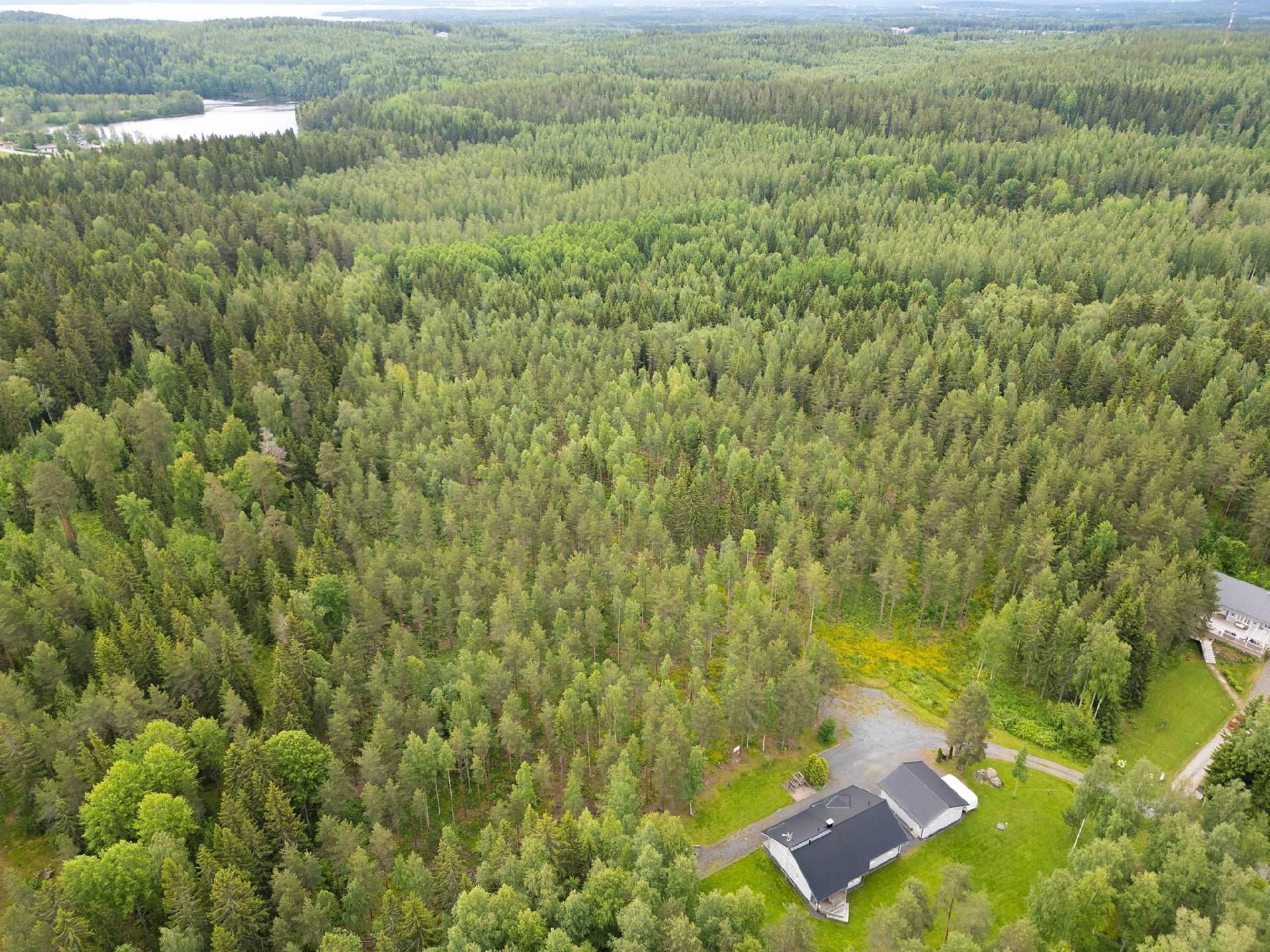 Lumikontie 10, Antaverkka, Ylöjärvi