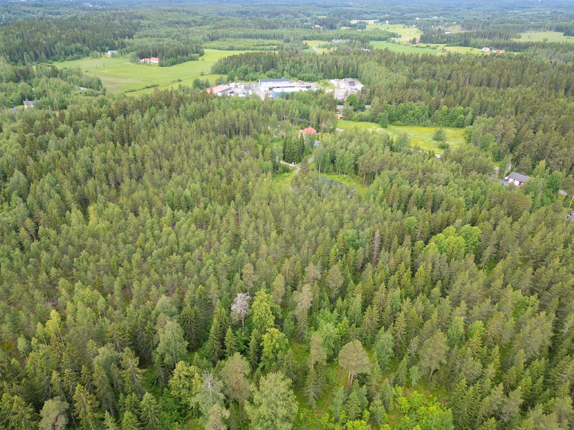 Lumikontie 10, Antaverkka, Ylöjärvi