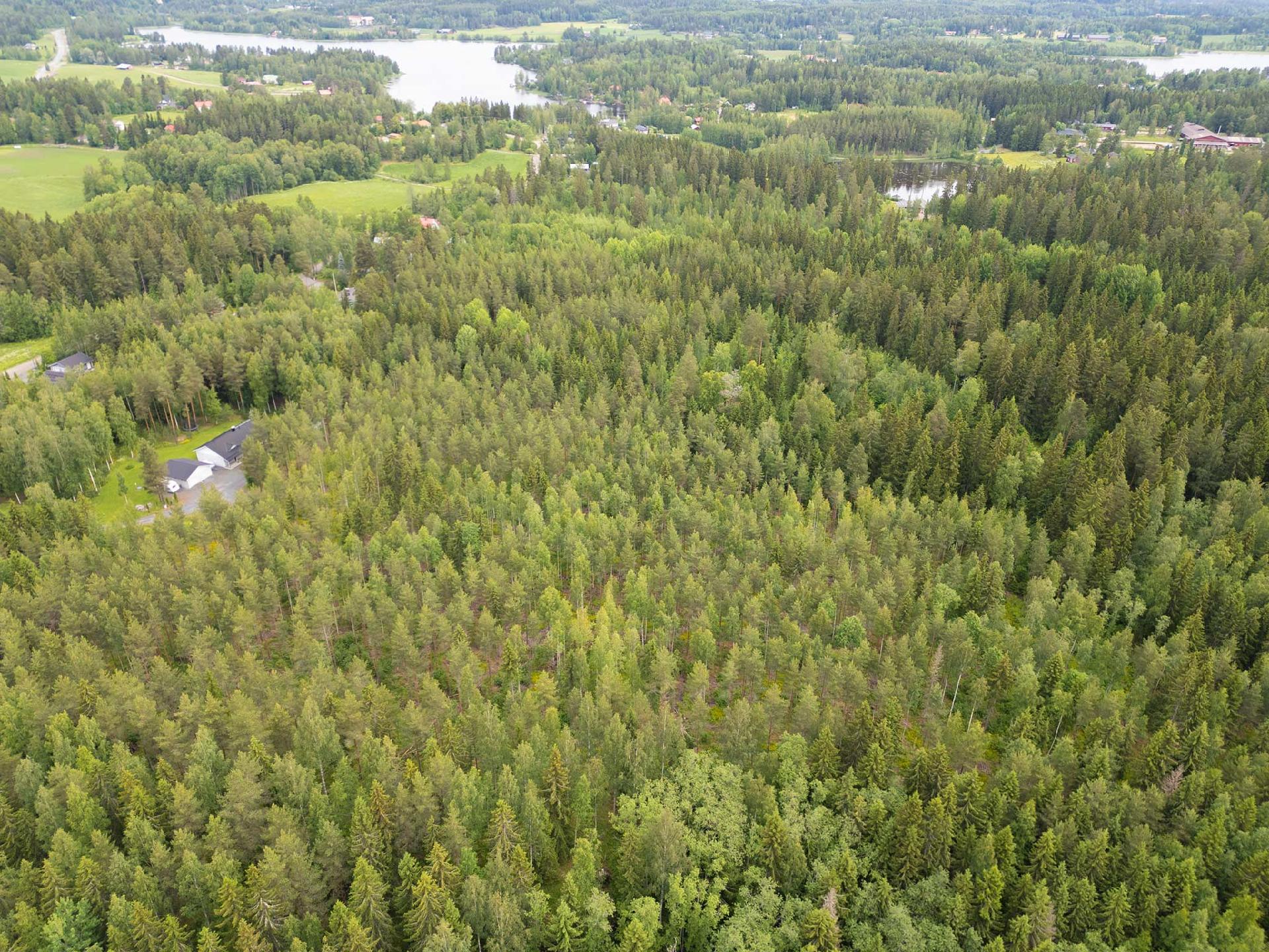 Lumikontie 10, Antaverkka, Ylöjärvi