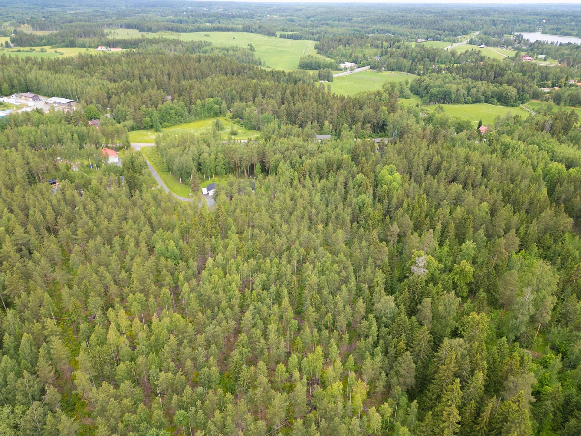 Lumikontie 10, Antaverkka, Ylöjärvi