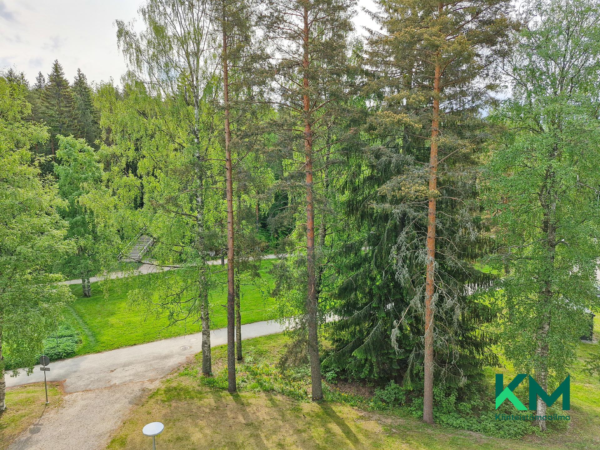 Jääkiekkoradankuja 1, Talvisalo, Savonlinna