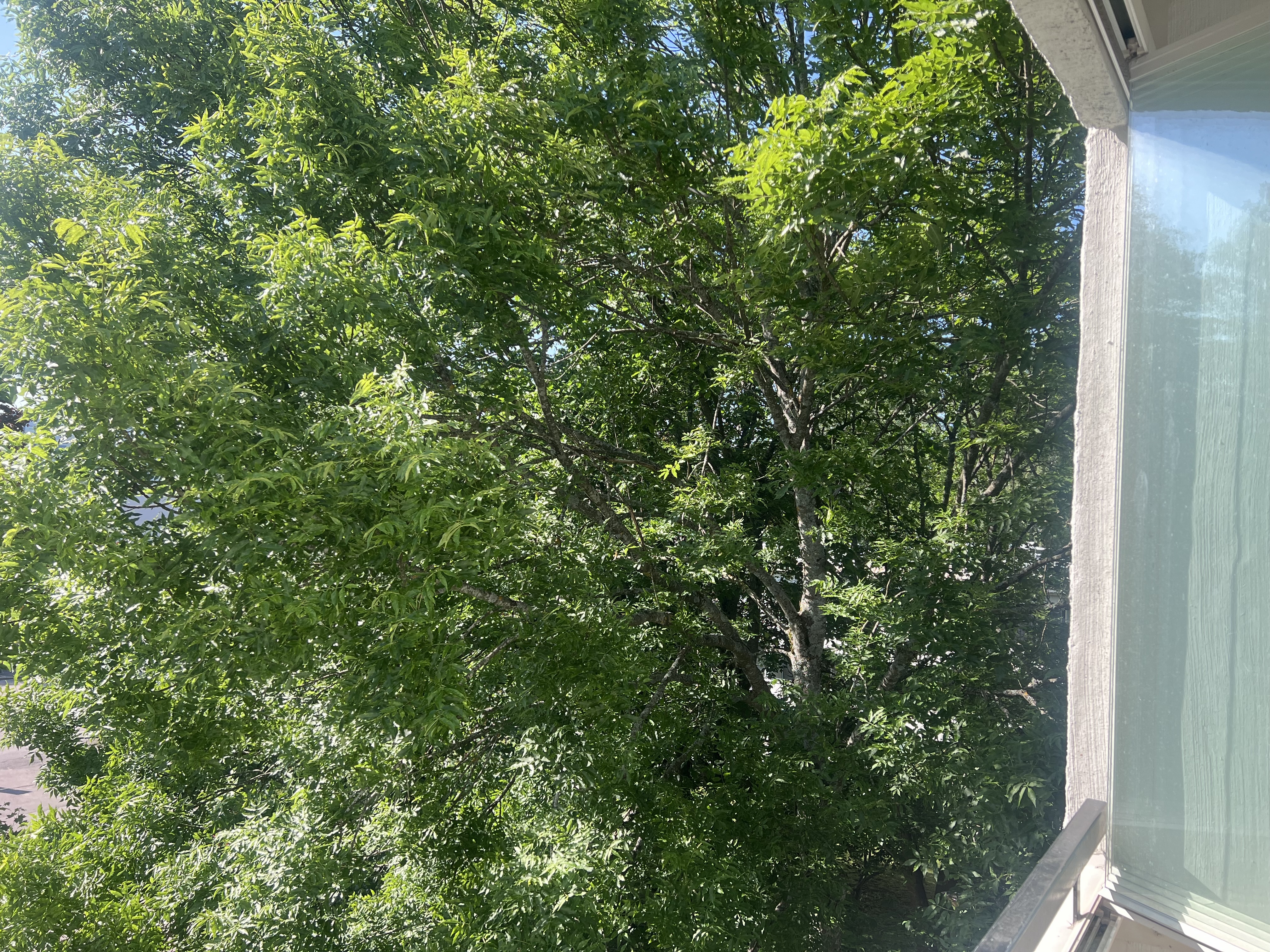 näkymät parvekkeelta