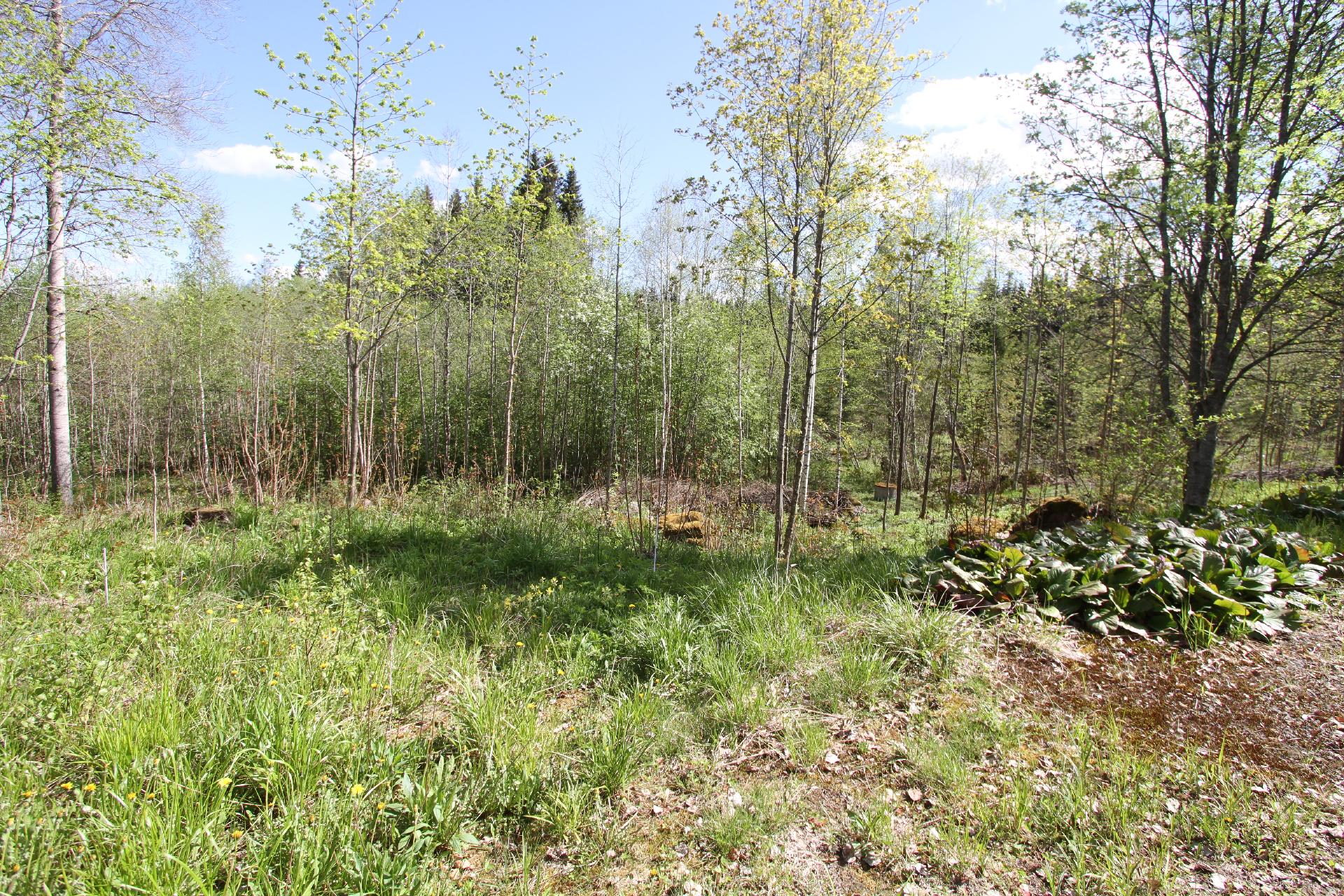 Kivistöntie 86, Läyliäinen, Loppi