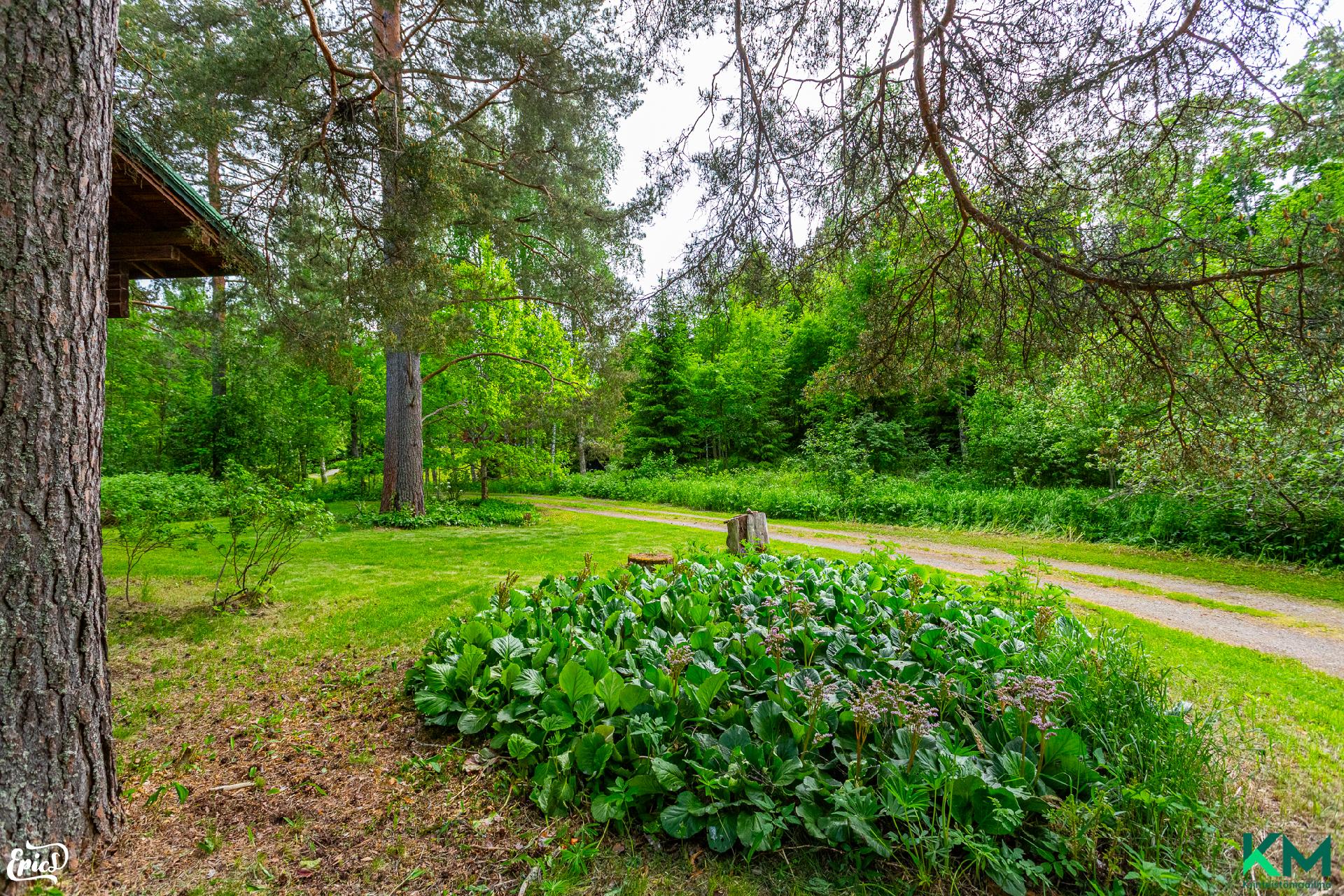 Hirvenojantie 12, Ohtola, Kangasala