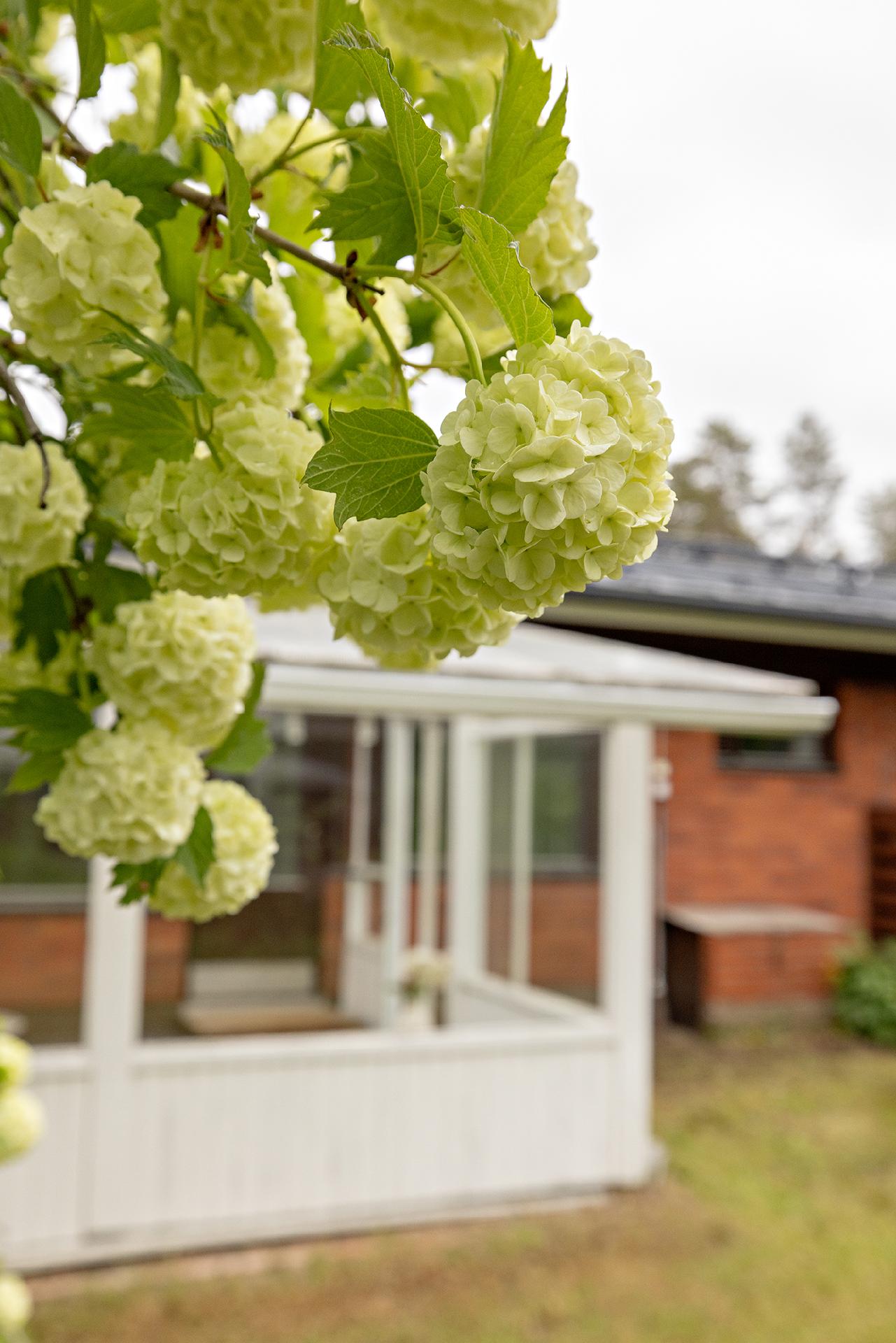 Rantatie 11, Jääli, Oulu