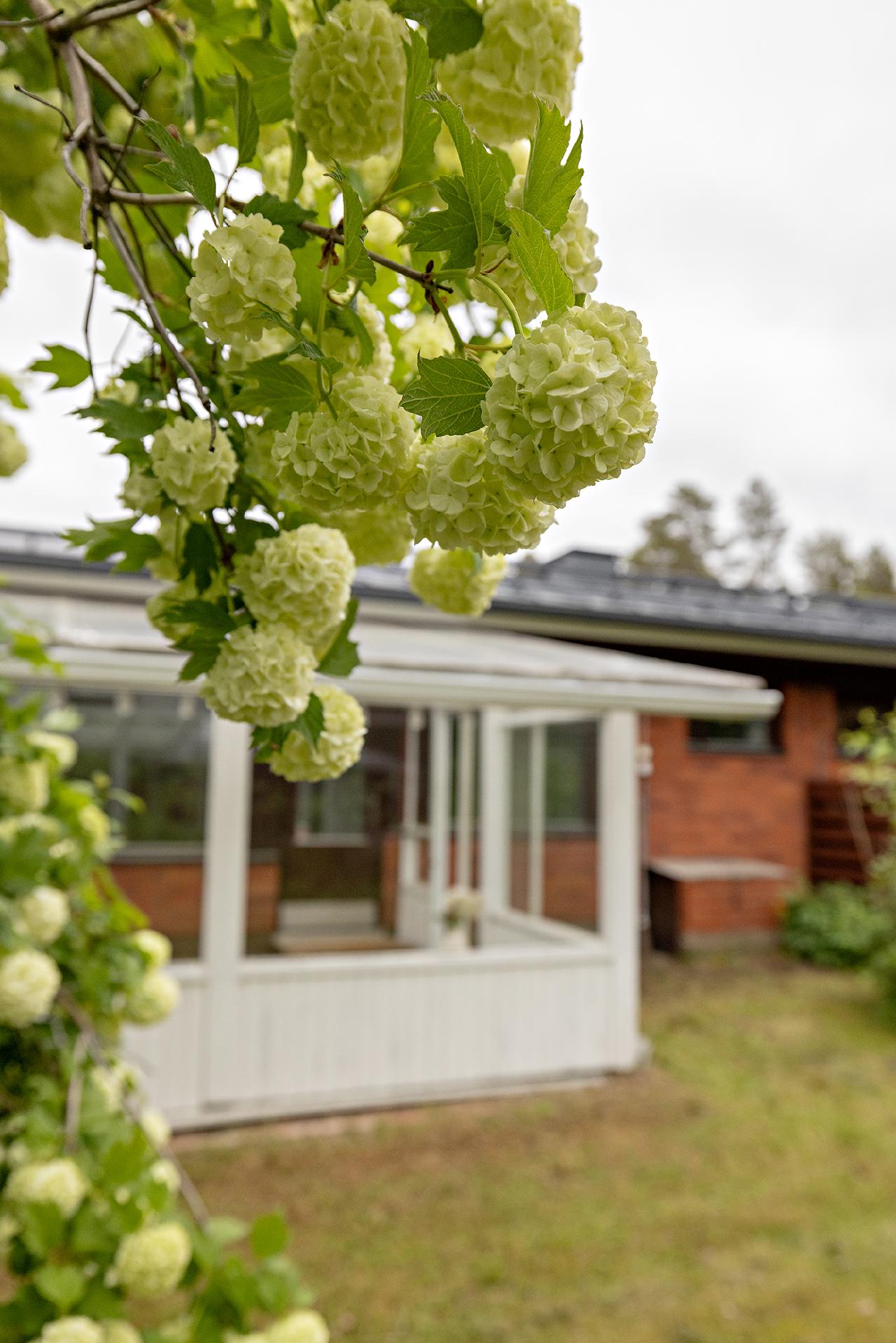 Rantatie 11, Jääli, Oulu