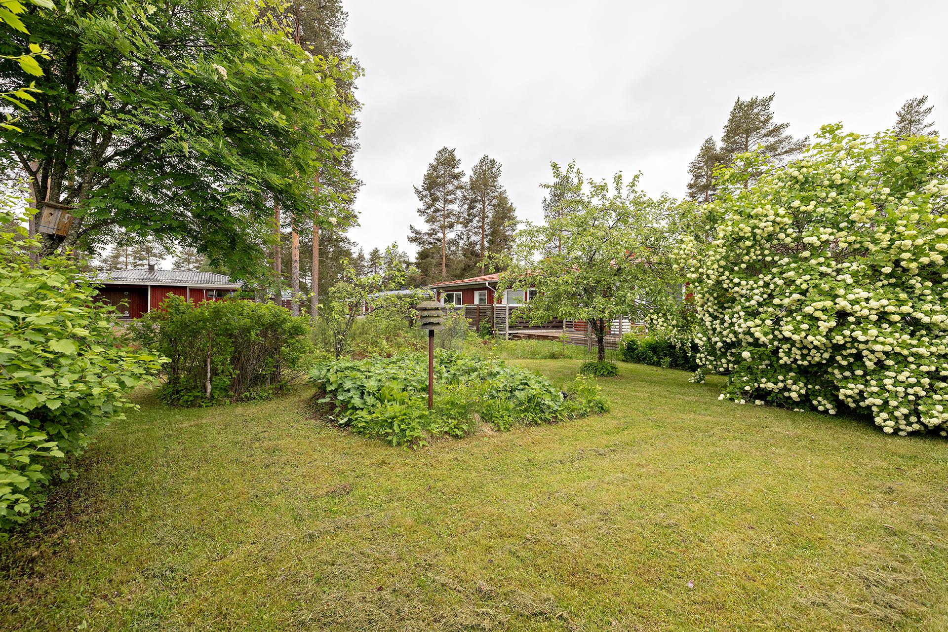 Rantatie 11, Jääli, Oulu