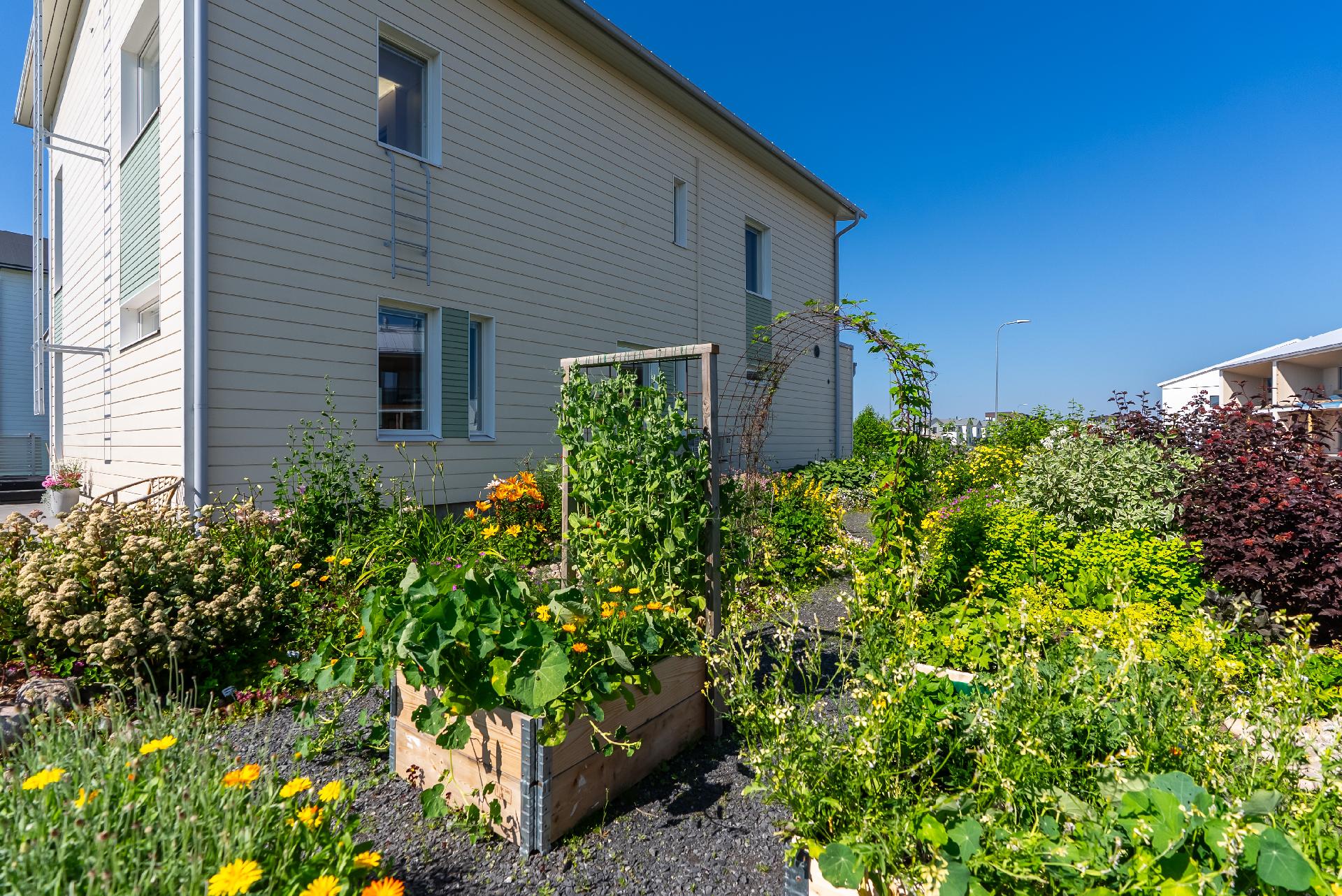 Purjelaivankaari 36, Pateniemenranta, Oulu